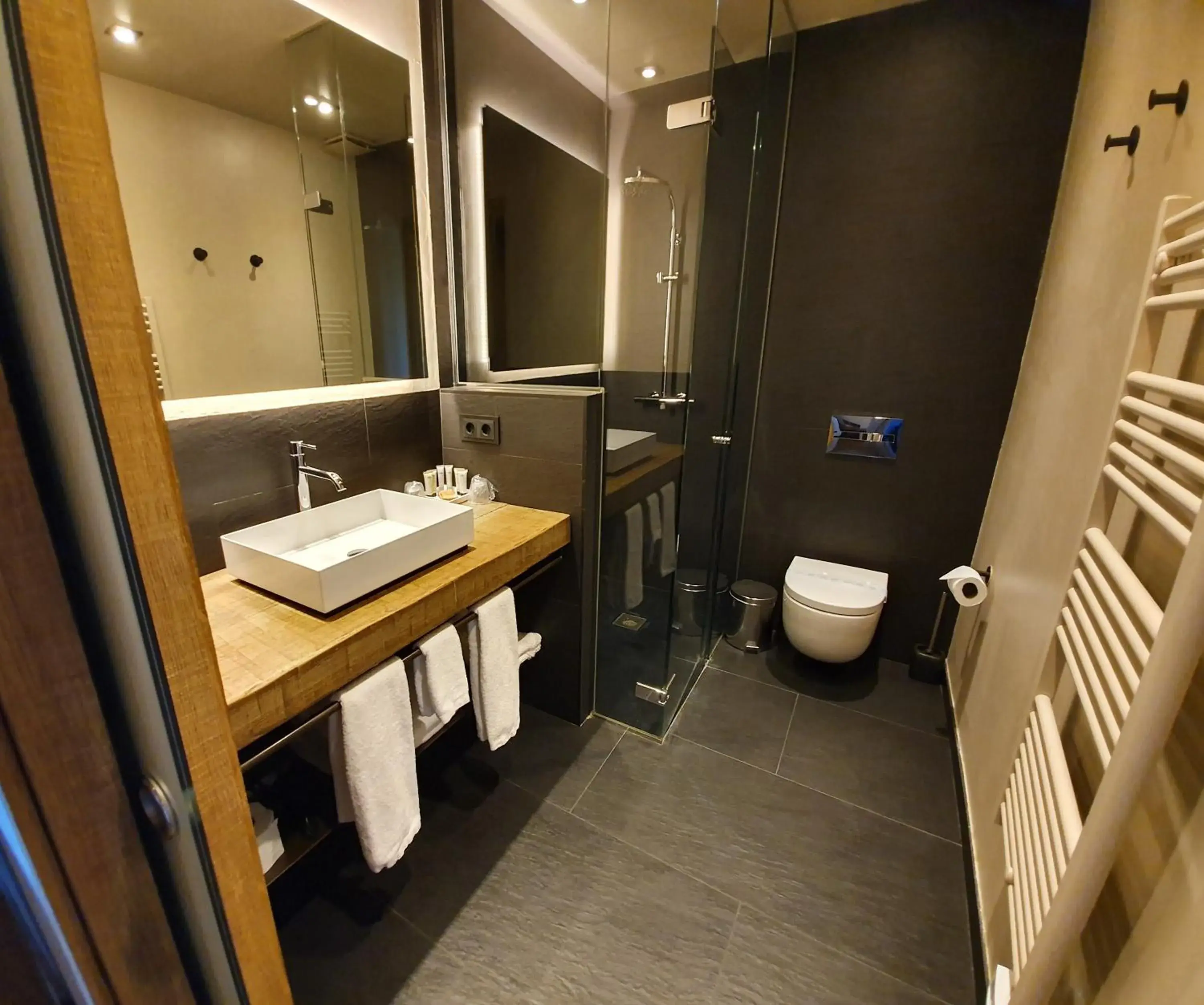 Toilet, Bathroom in Hotel Puig Francó - Adults Only