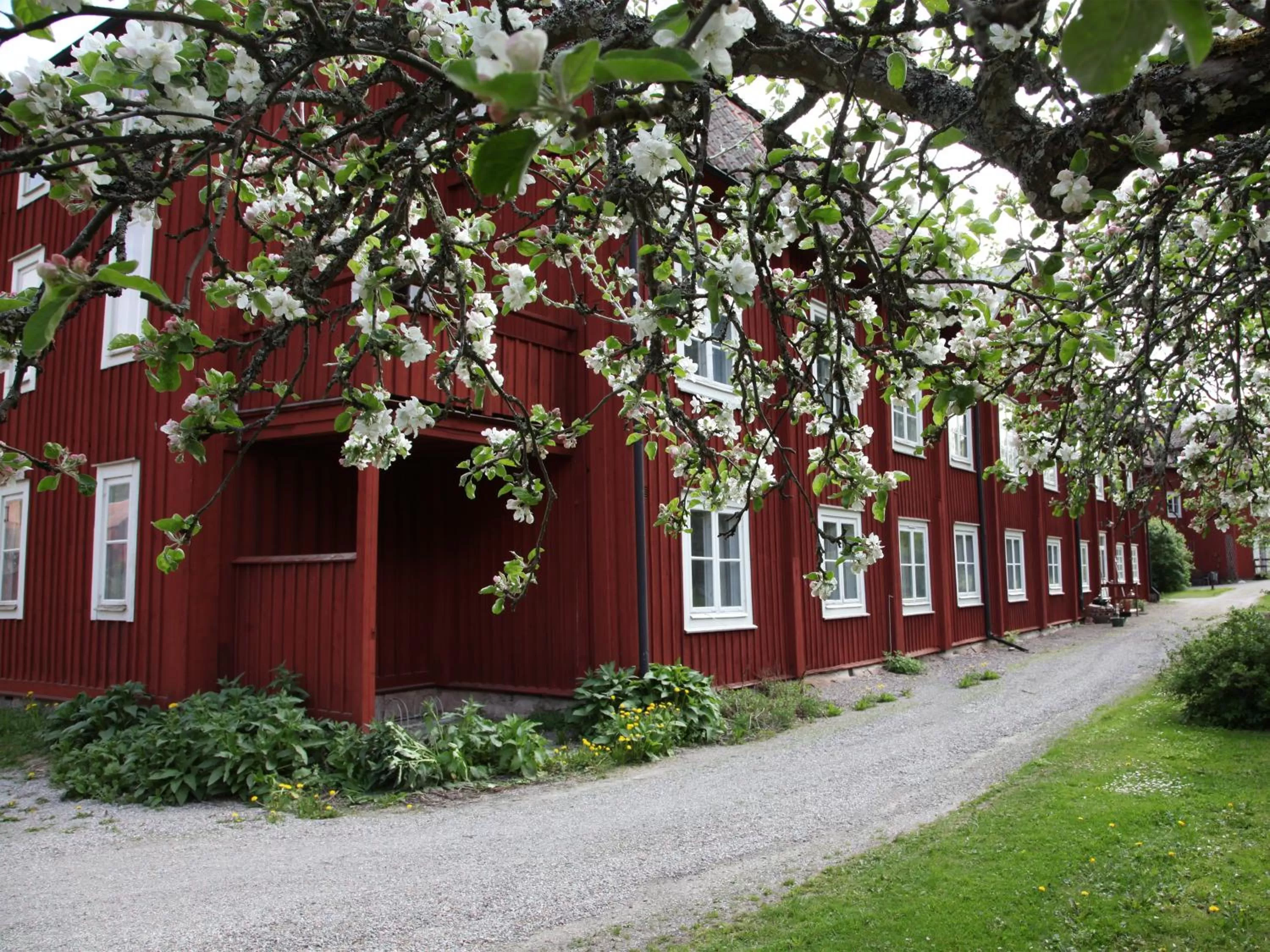 Garden view in Gripsholms BnB