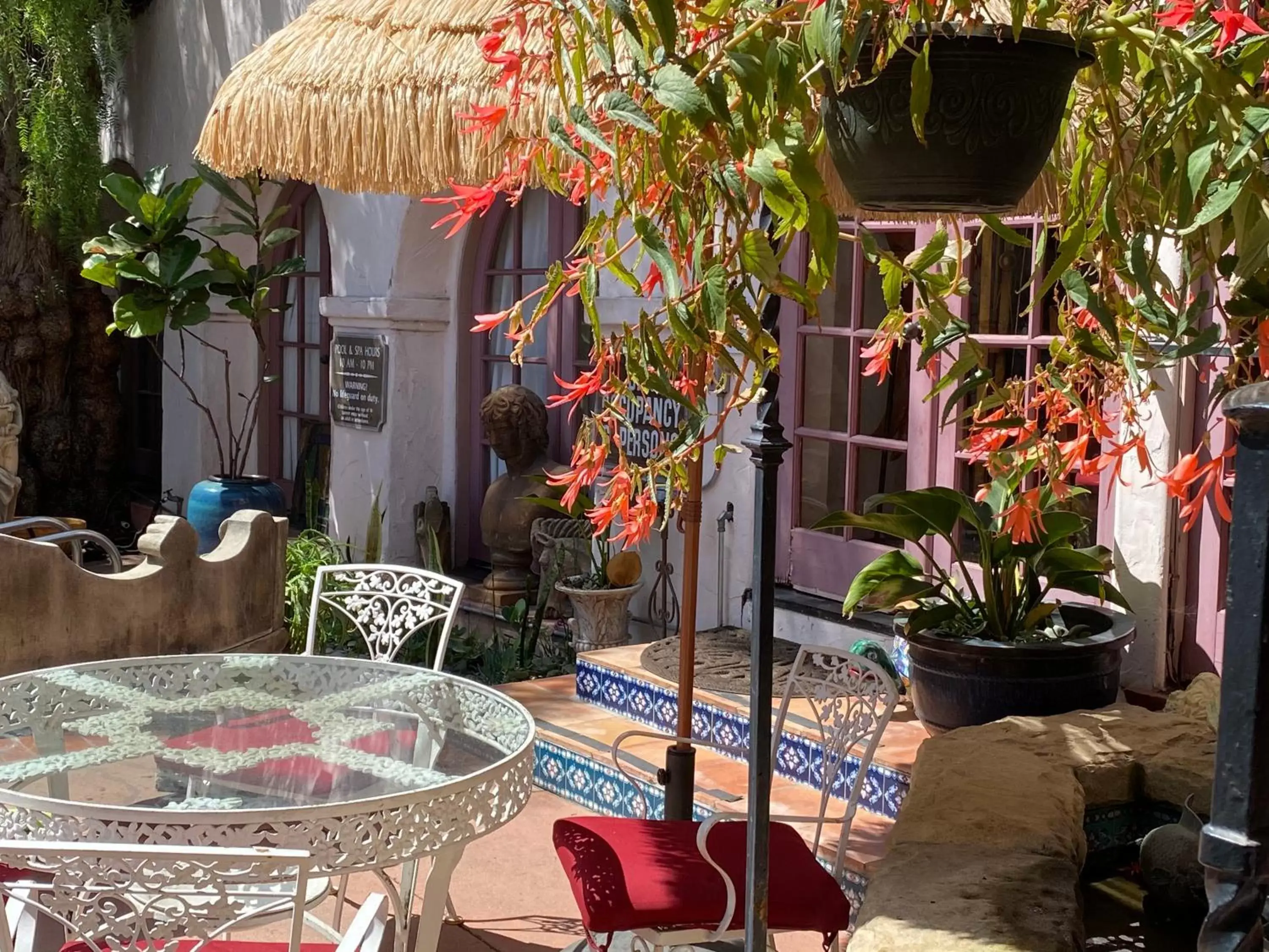 Patio/Outdoor Area in Villa Rosa Inn