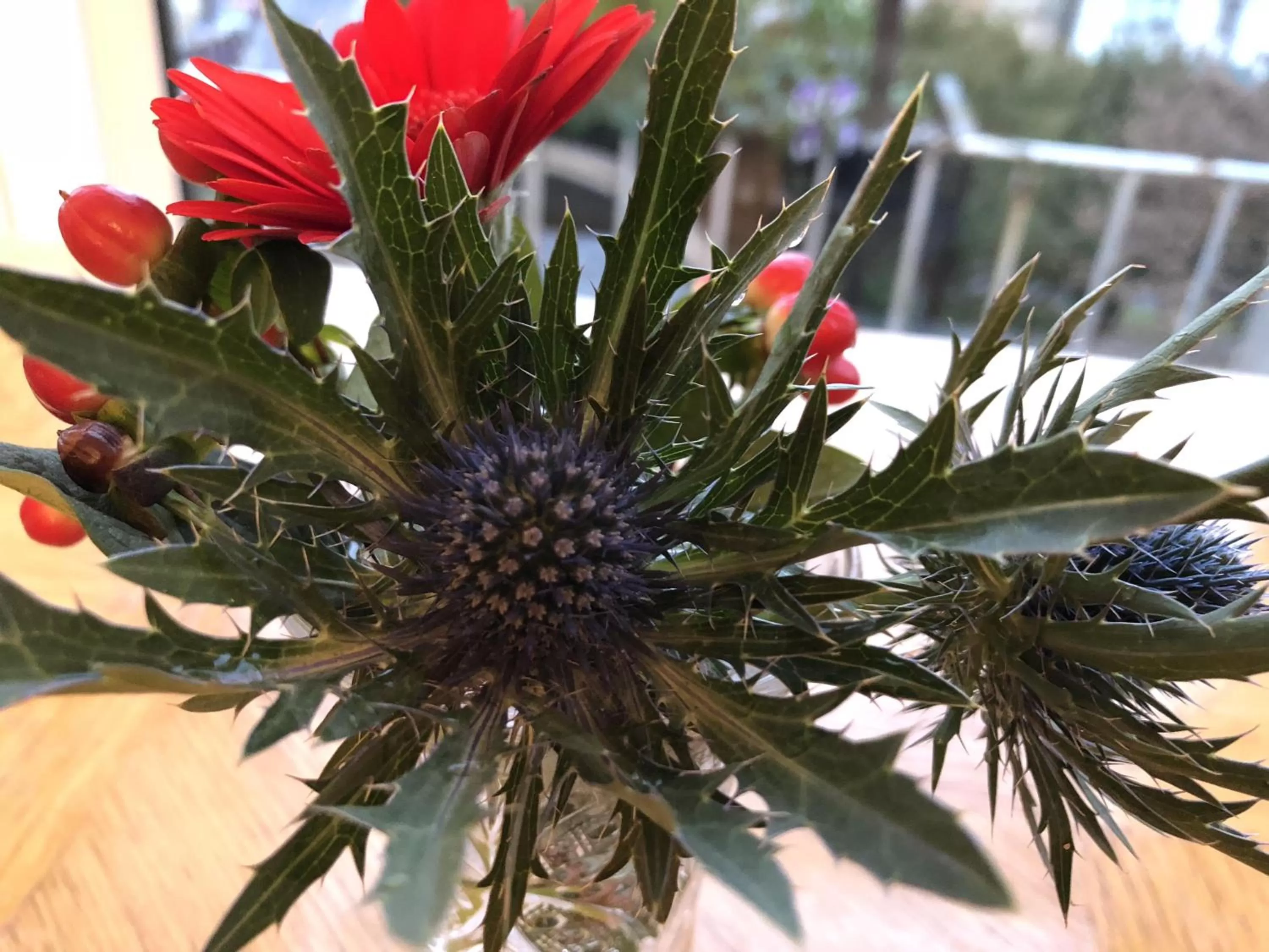 Dining area in Castle Walk Bed & Breakfast