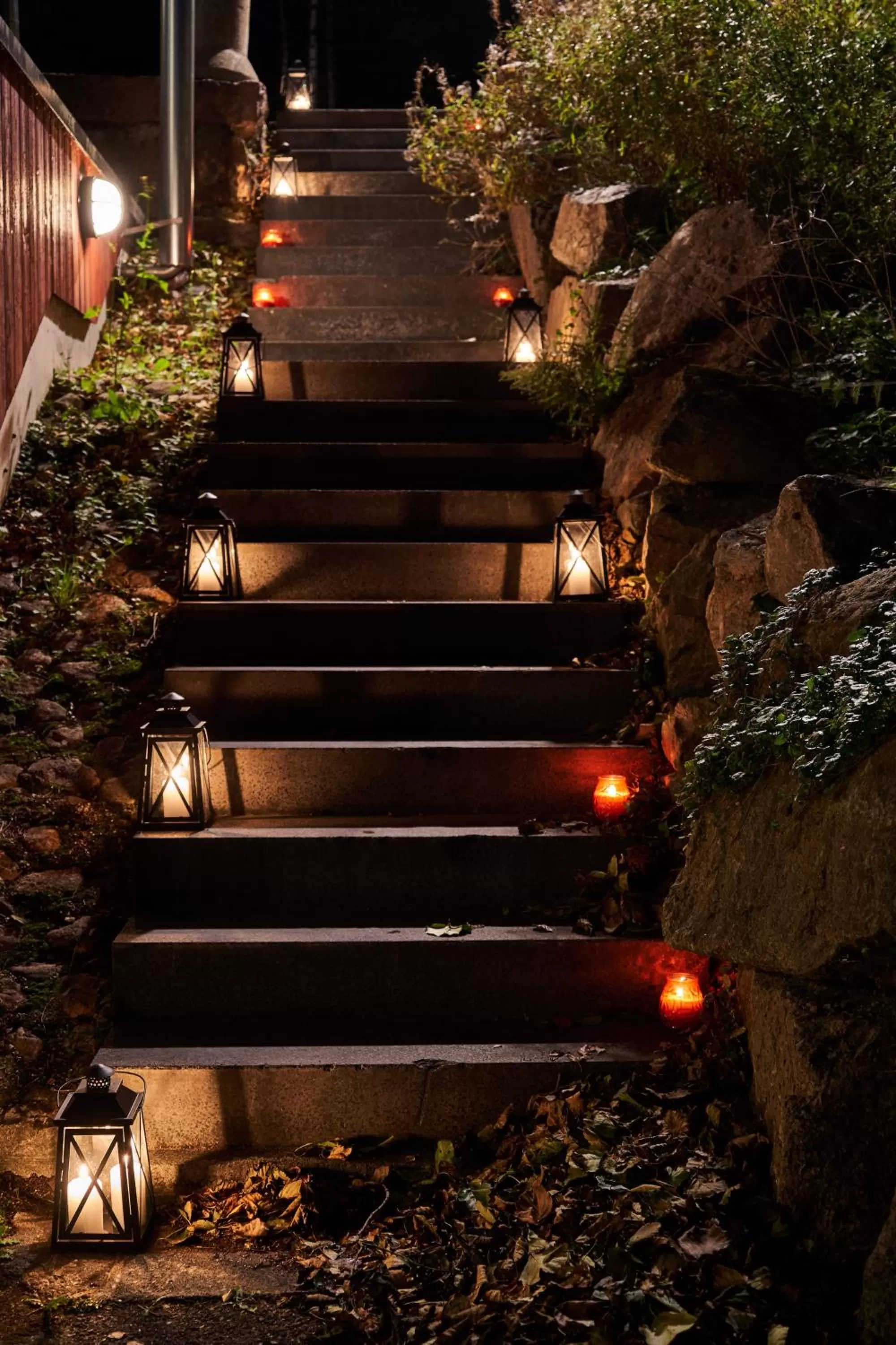 Garden in Hotel Villa Molnby