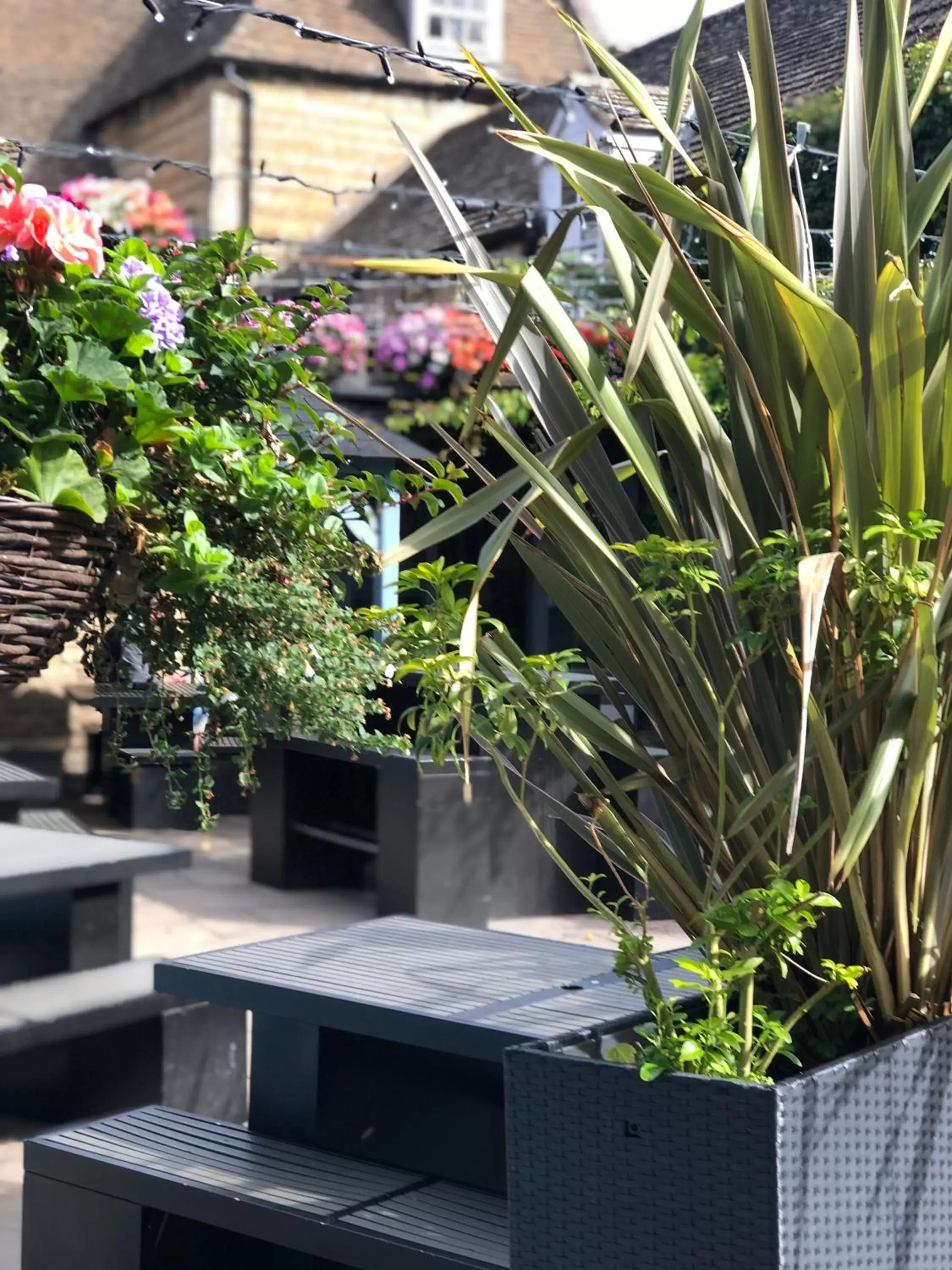 Property building in Deeping Stage Property building in Deeping Stage