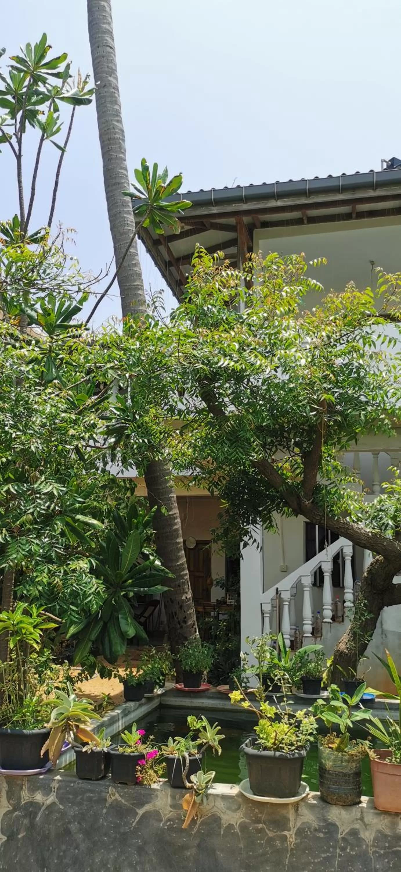 Garden, Property Building in Blackstar Inn