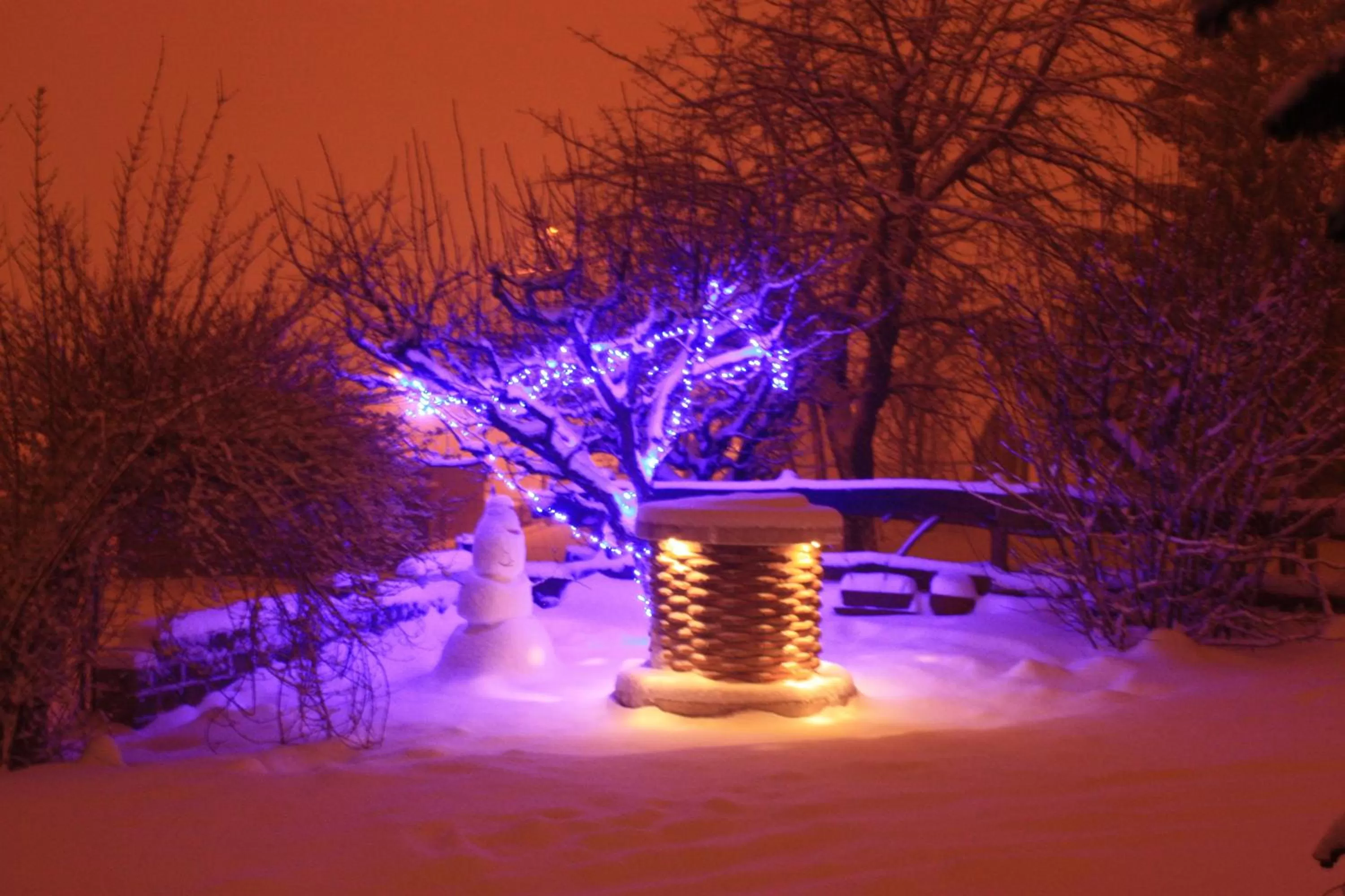 Winter in Il Frutteto