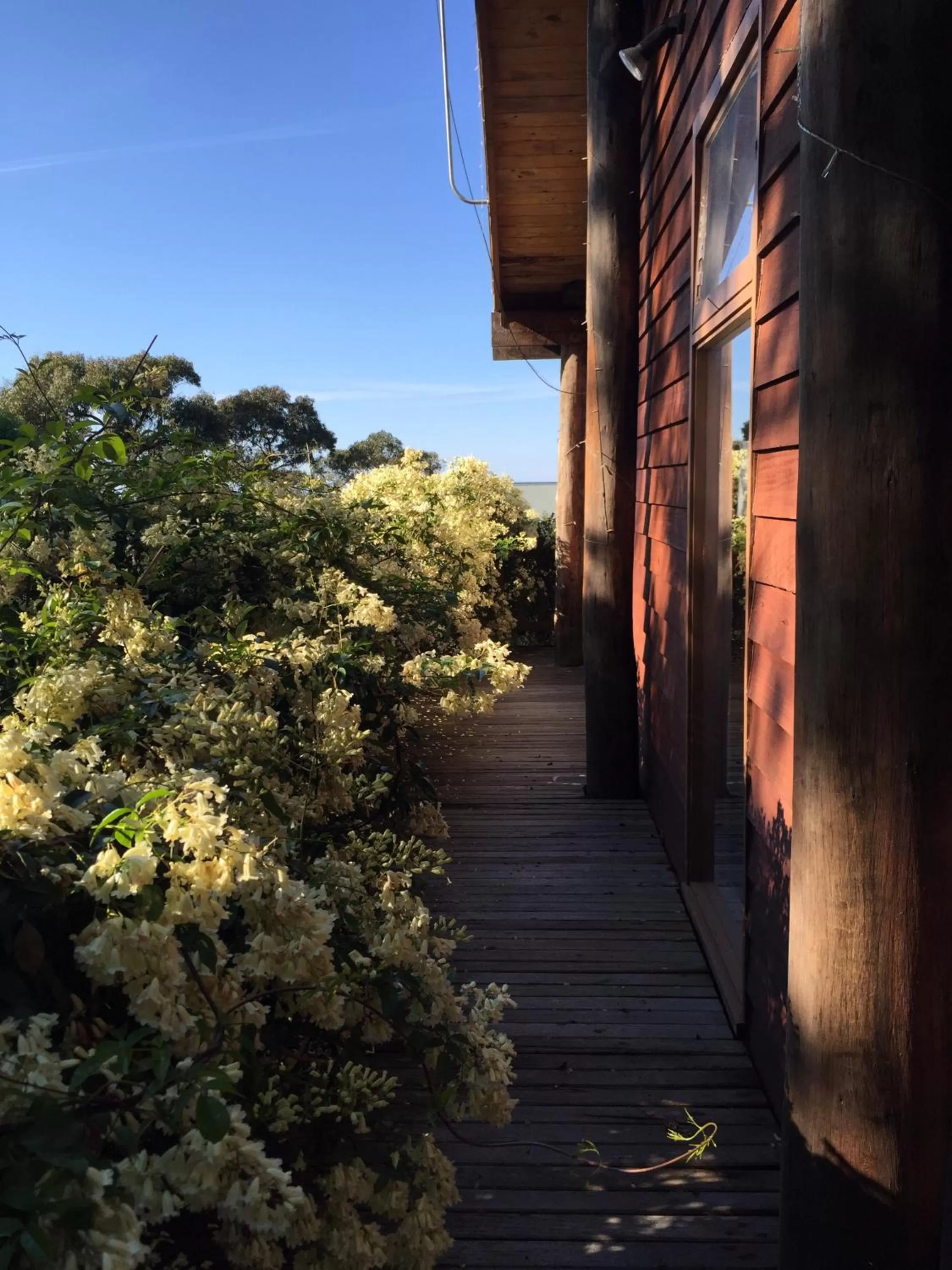 Garden in The Goat and Goose Bed & Breakfast