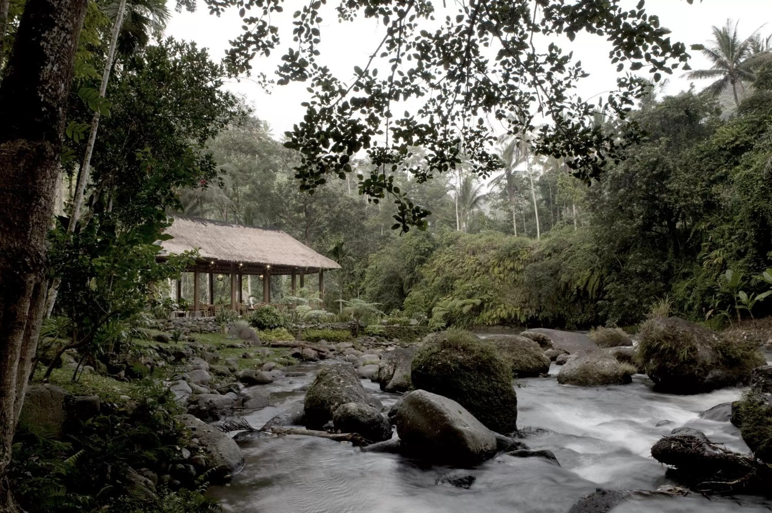 Day in The Royal Pita Maha