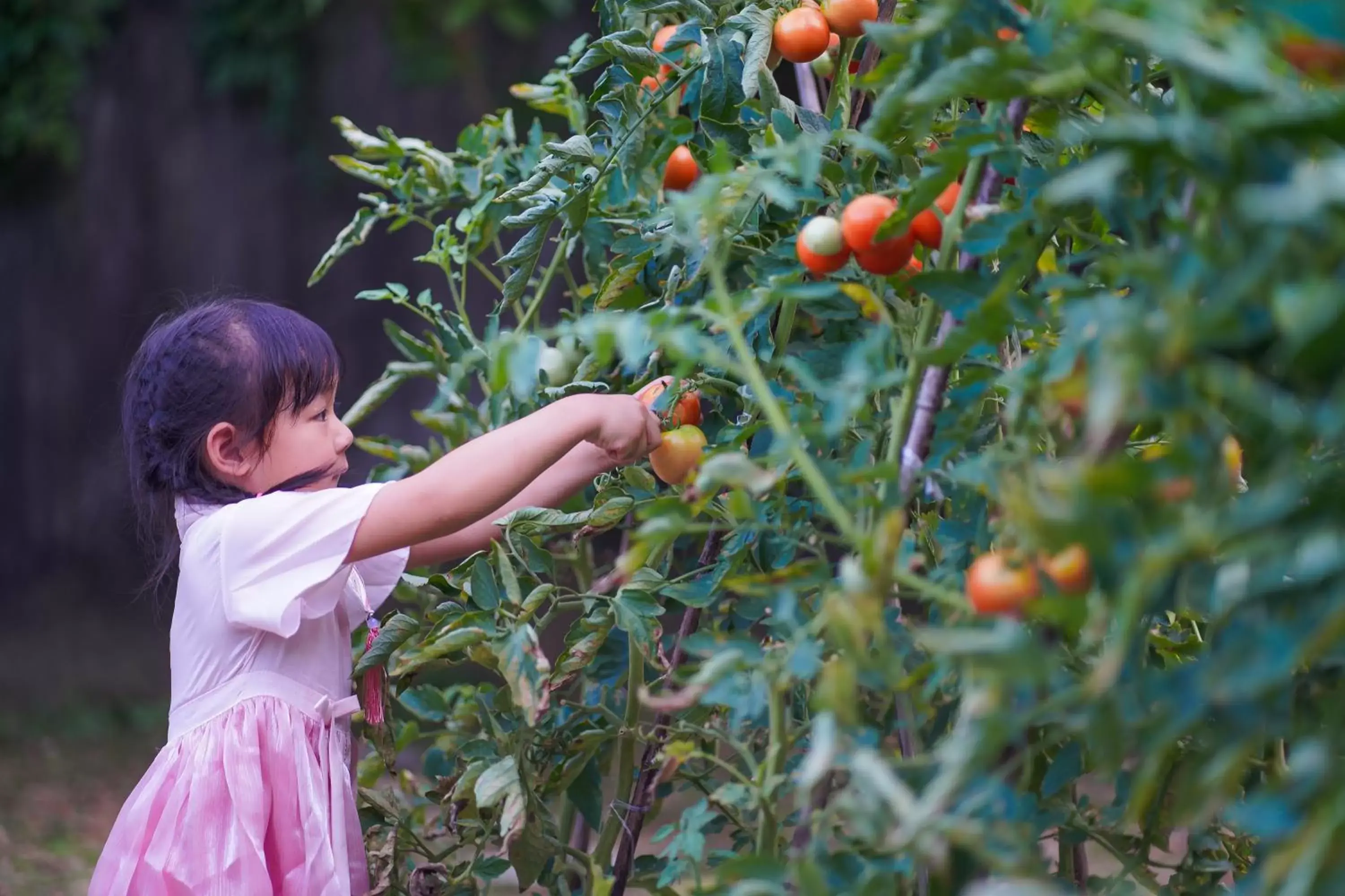 children in Shangri-La Guilin