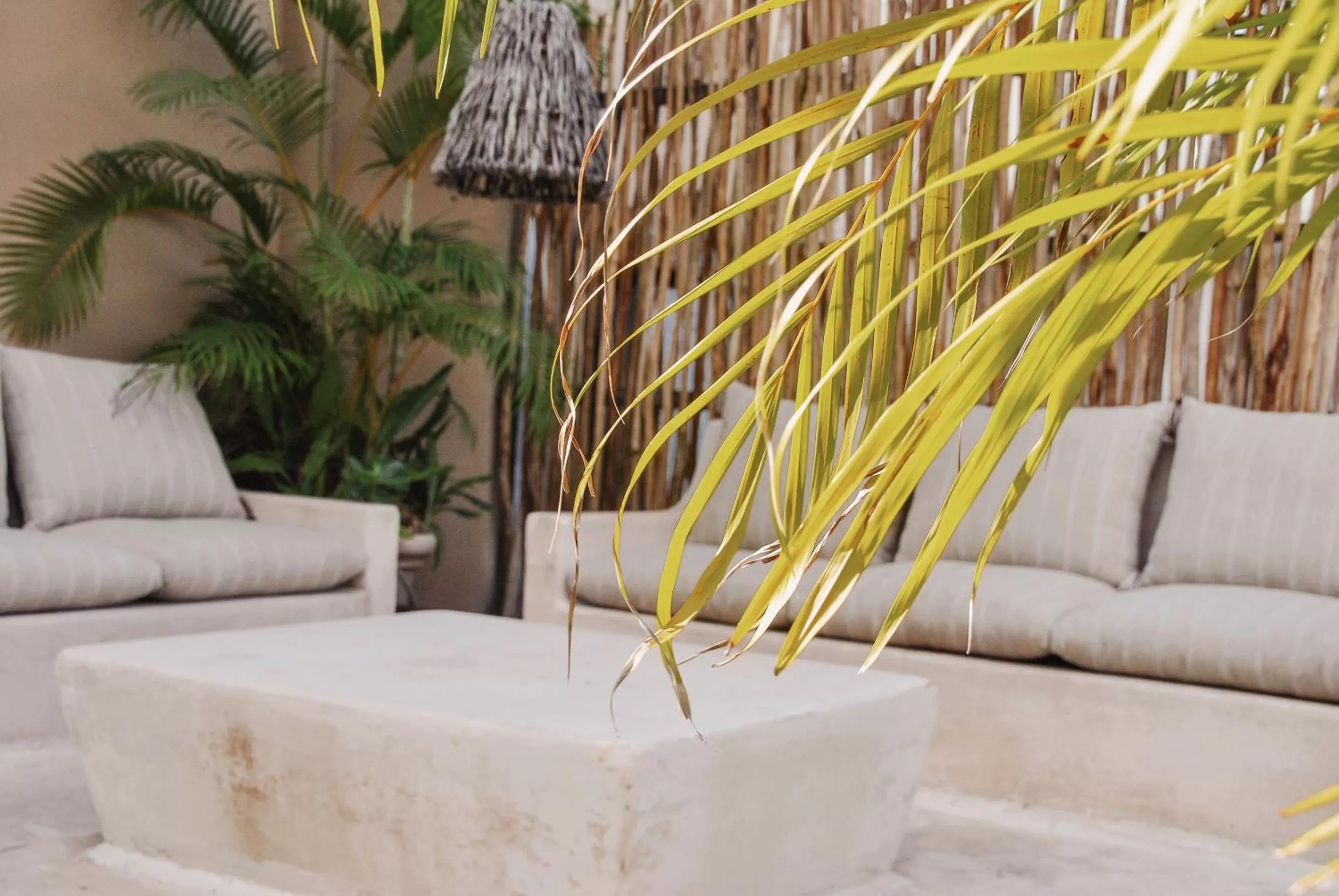 Balcony/Terrace in Boutique Hotel Posada 06 Tulum