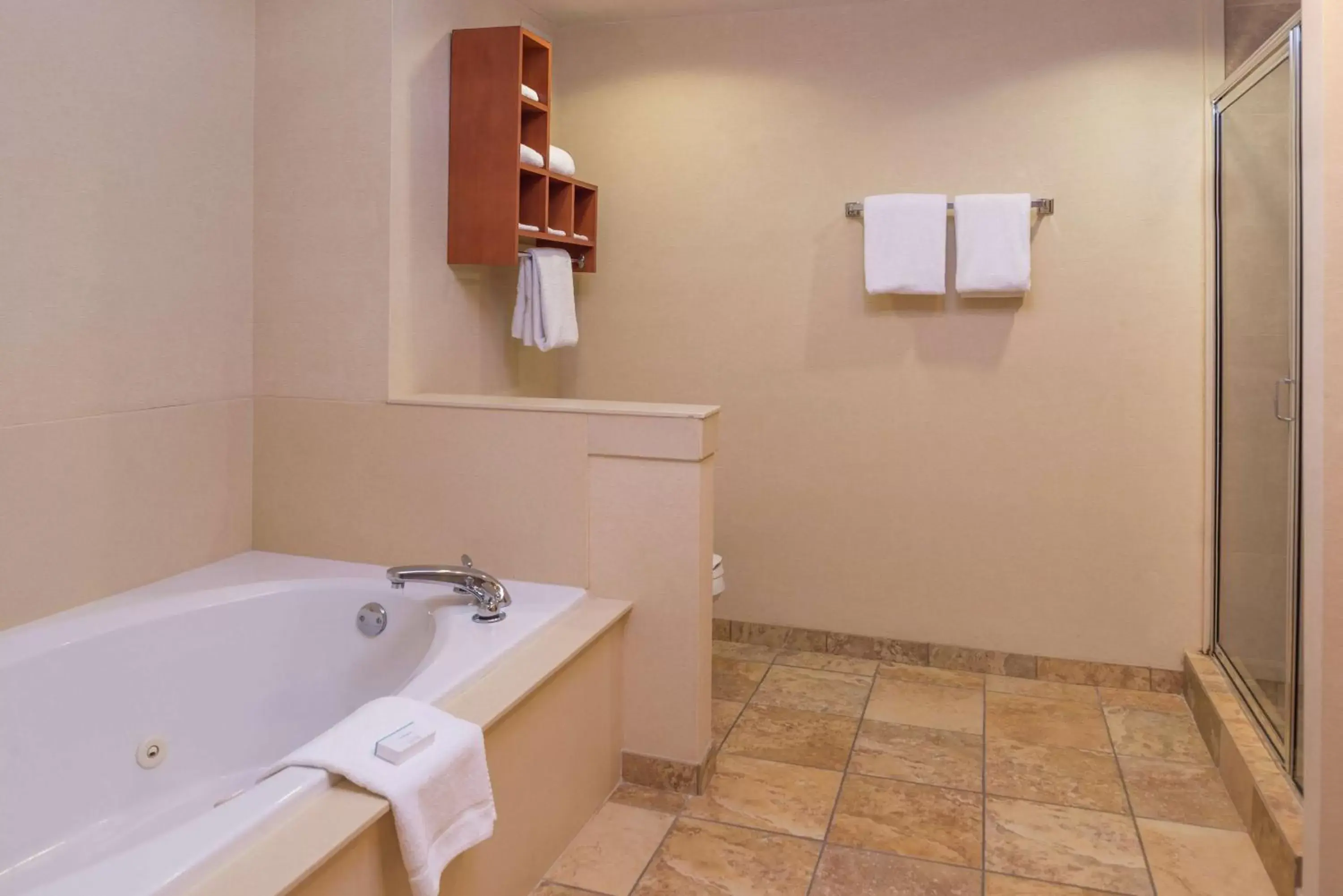 Bathroom in Hampton Inn & Suites Charlotte Arrowood