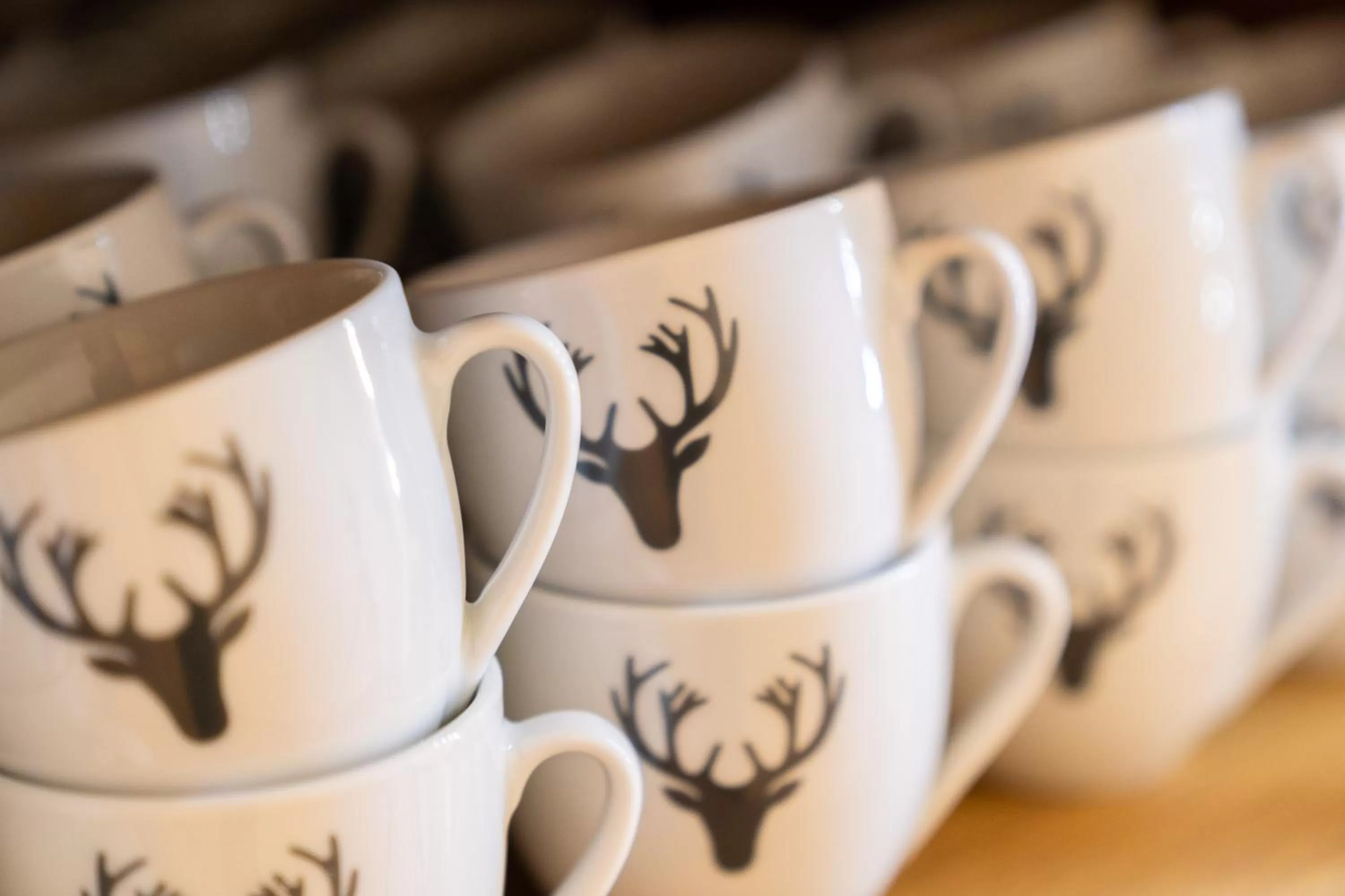 Villa Flöckner Bed & Breakfast