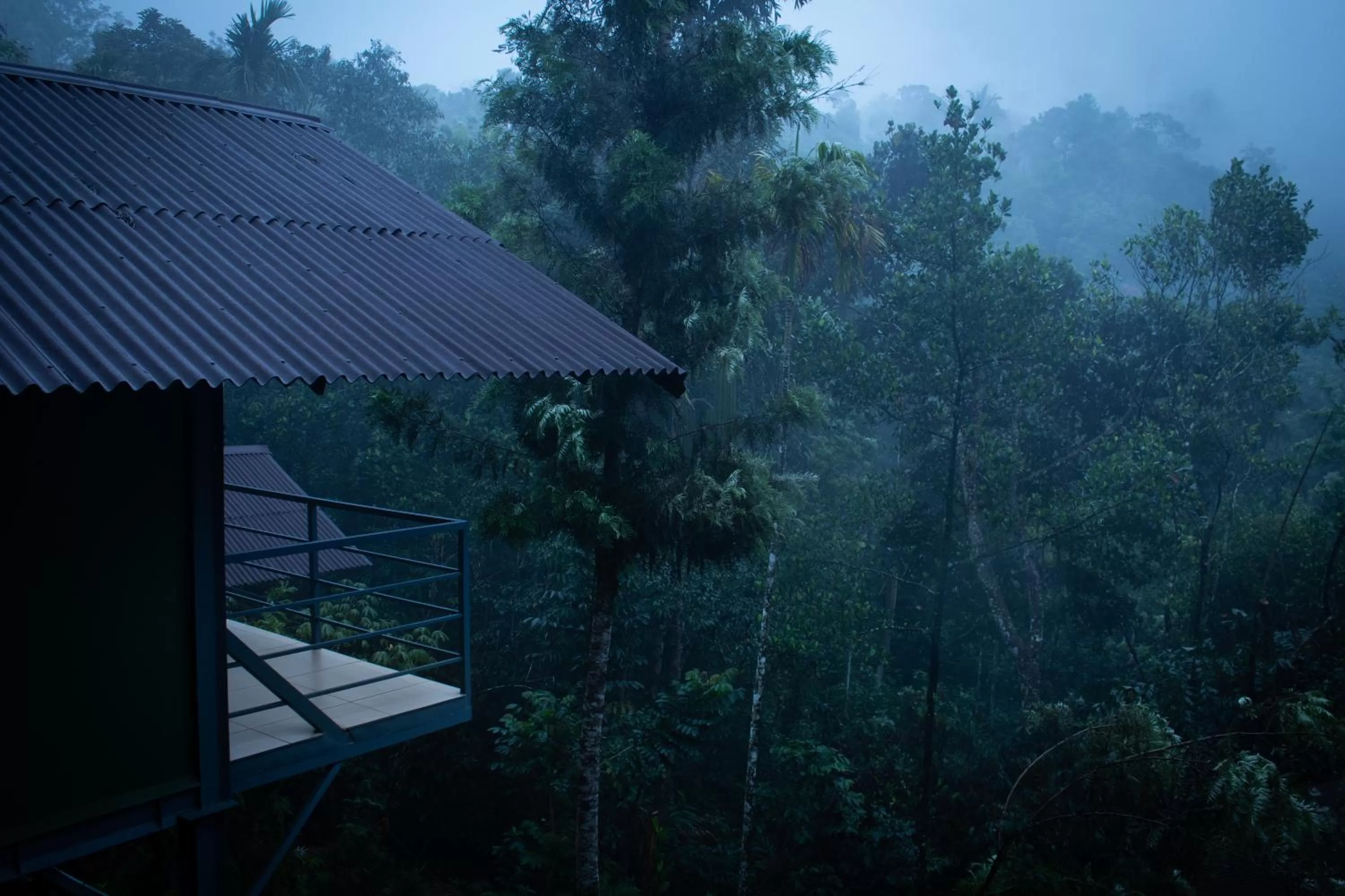Garden view in Edens Munnar