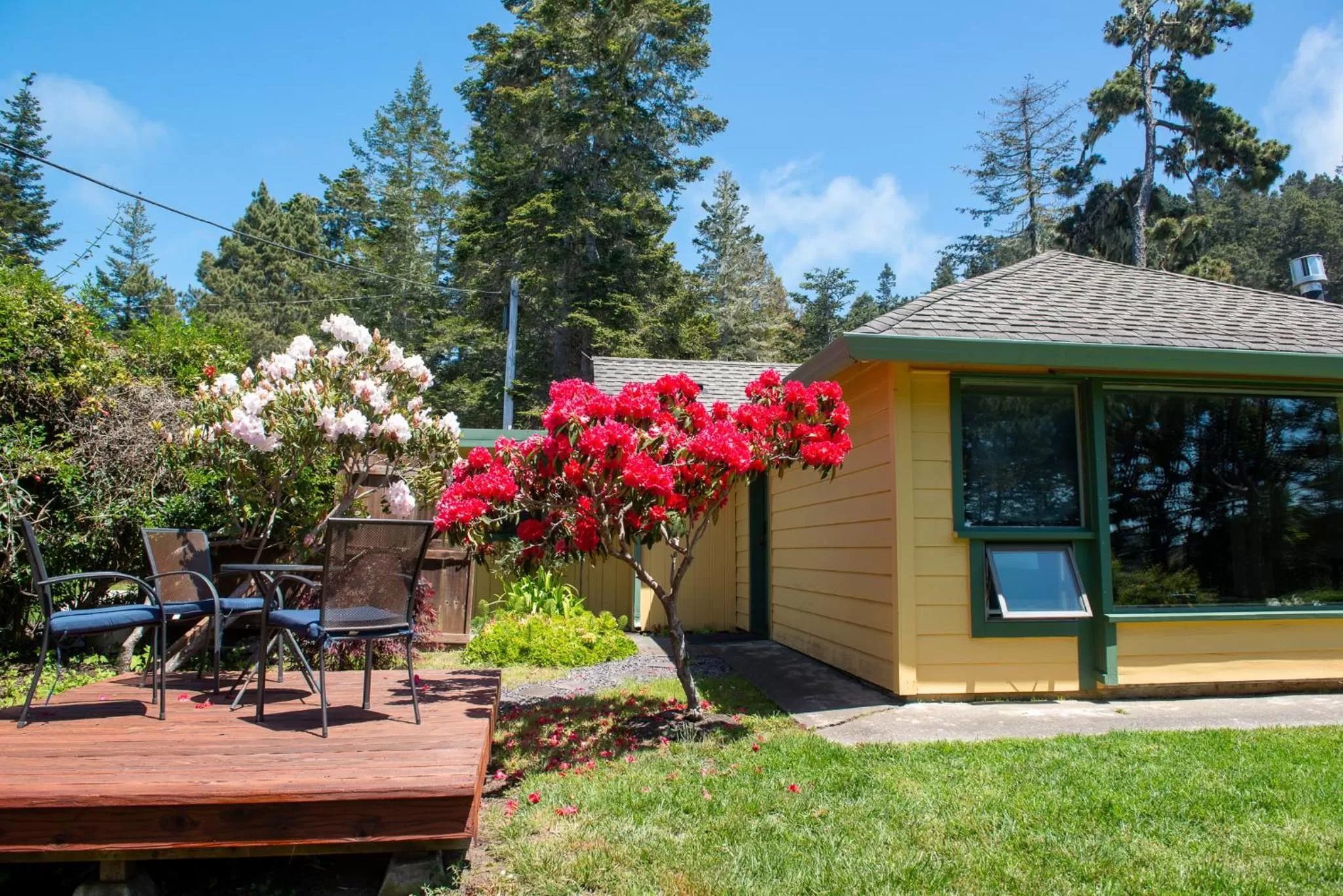 Inn at Buckhorn Cove