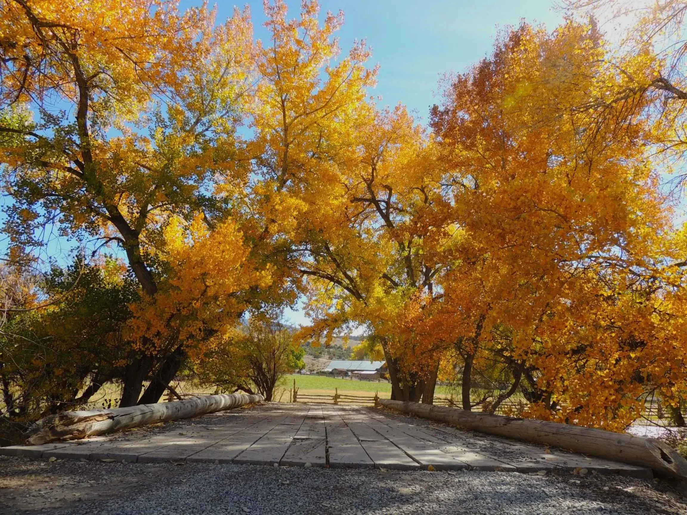 Day in Canyon Of The Ancients Guest Ranch