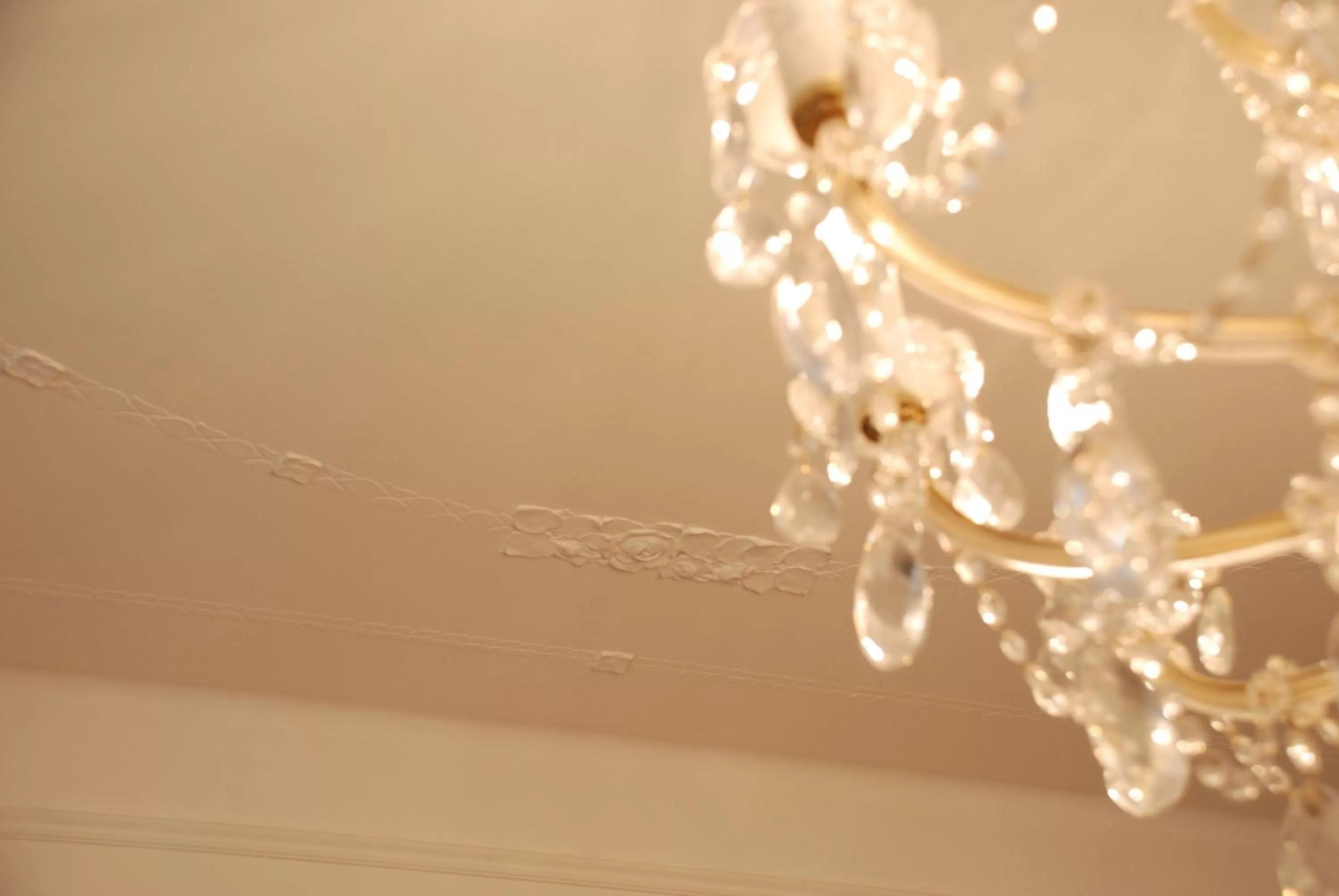 Restaurant/places to eat in The Bed + Breakfast