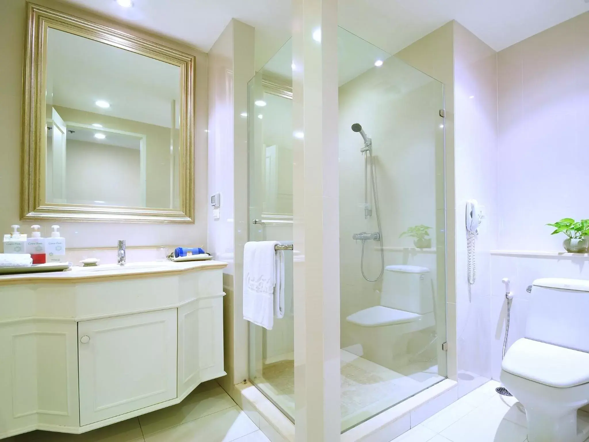 Shower, Bathroom in Centre Point Silom