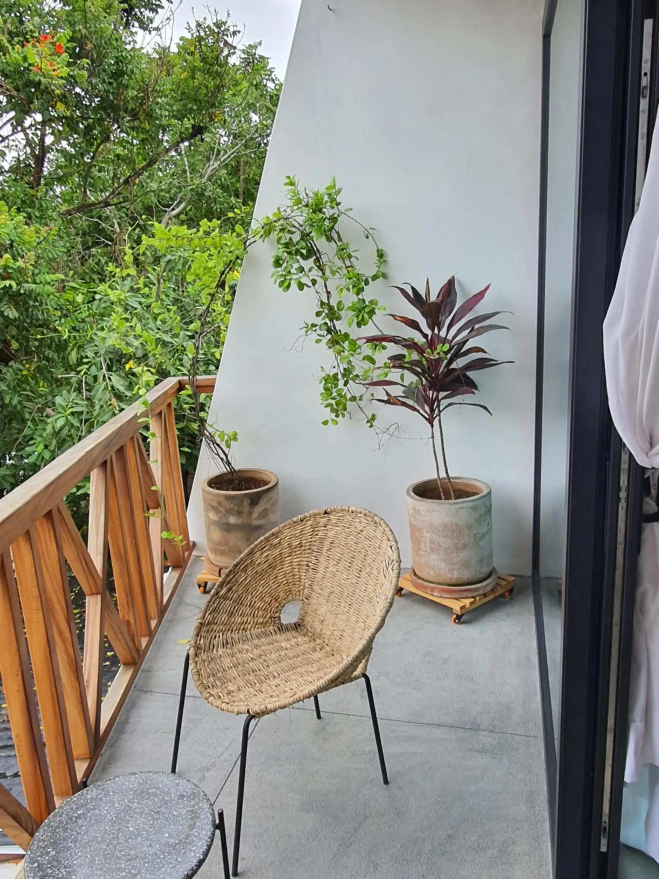 Balcony/Terrace in Ximena Hotel Boutique