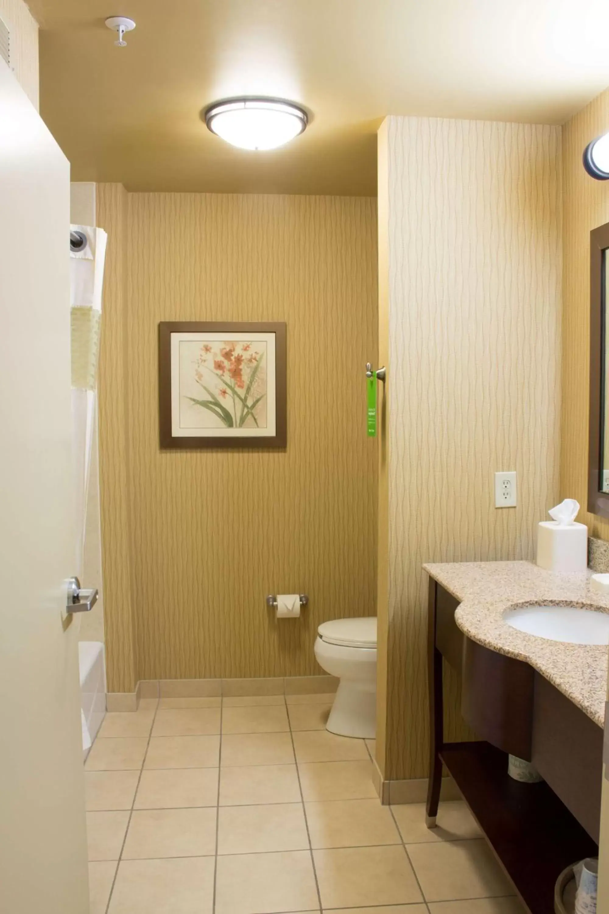 Bathroom in Hampton Inn Junction City