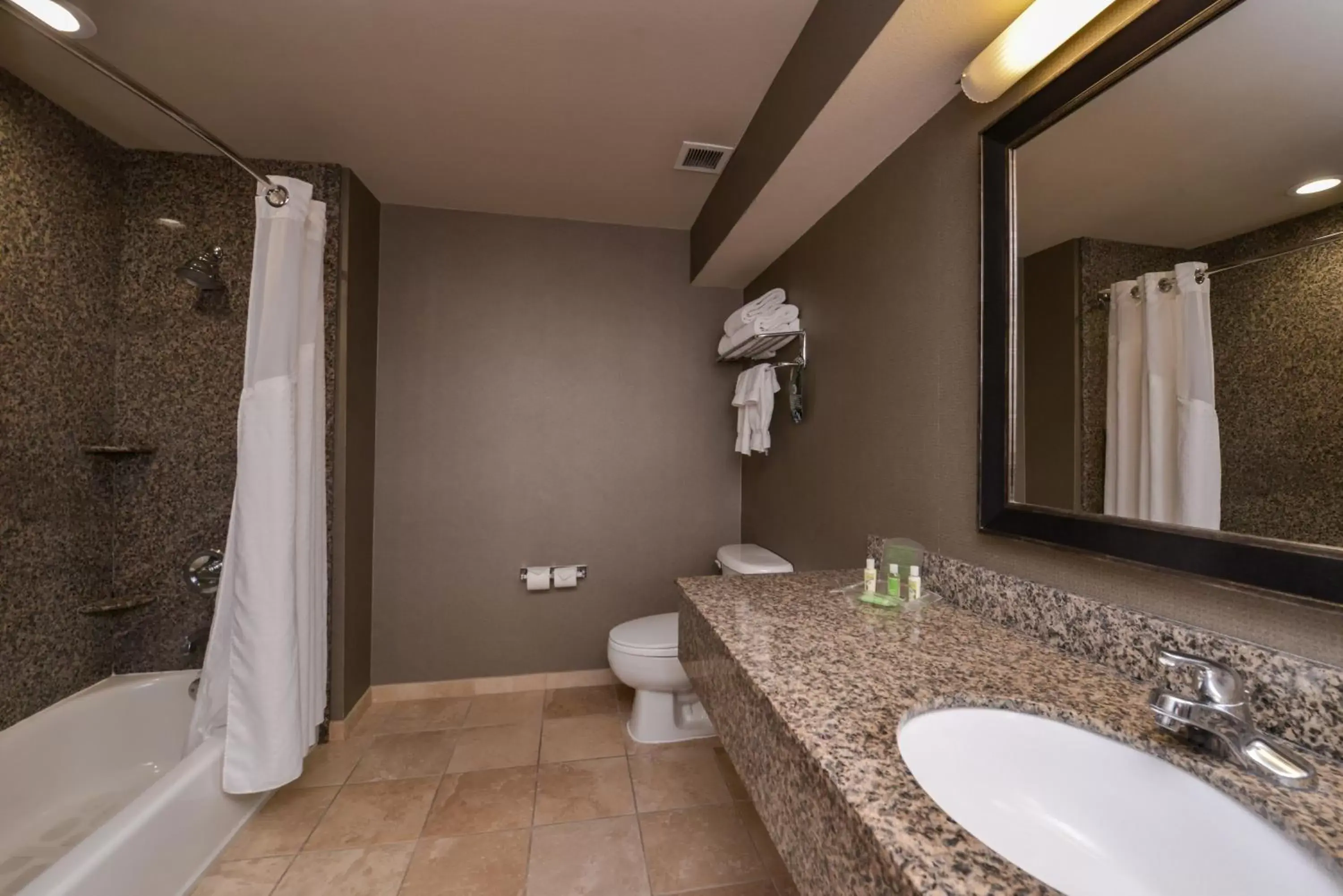 Bathroom in Holiday Inn Ontario Airport - California, an IHG Hotel