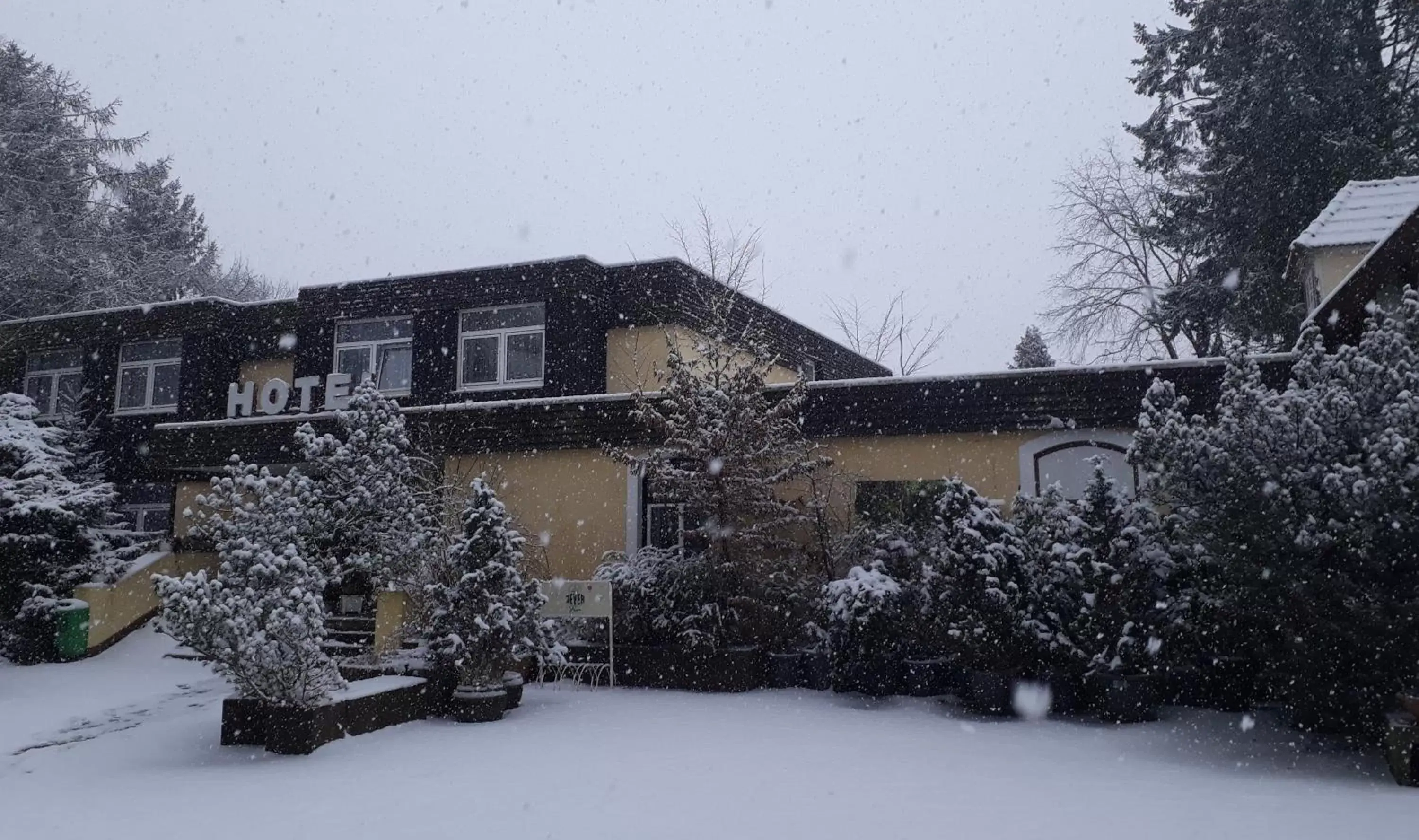 Winter in Hotel Forsthaus St. Hubertus