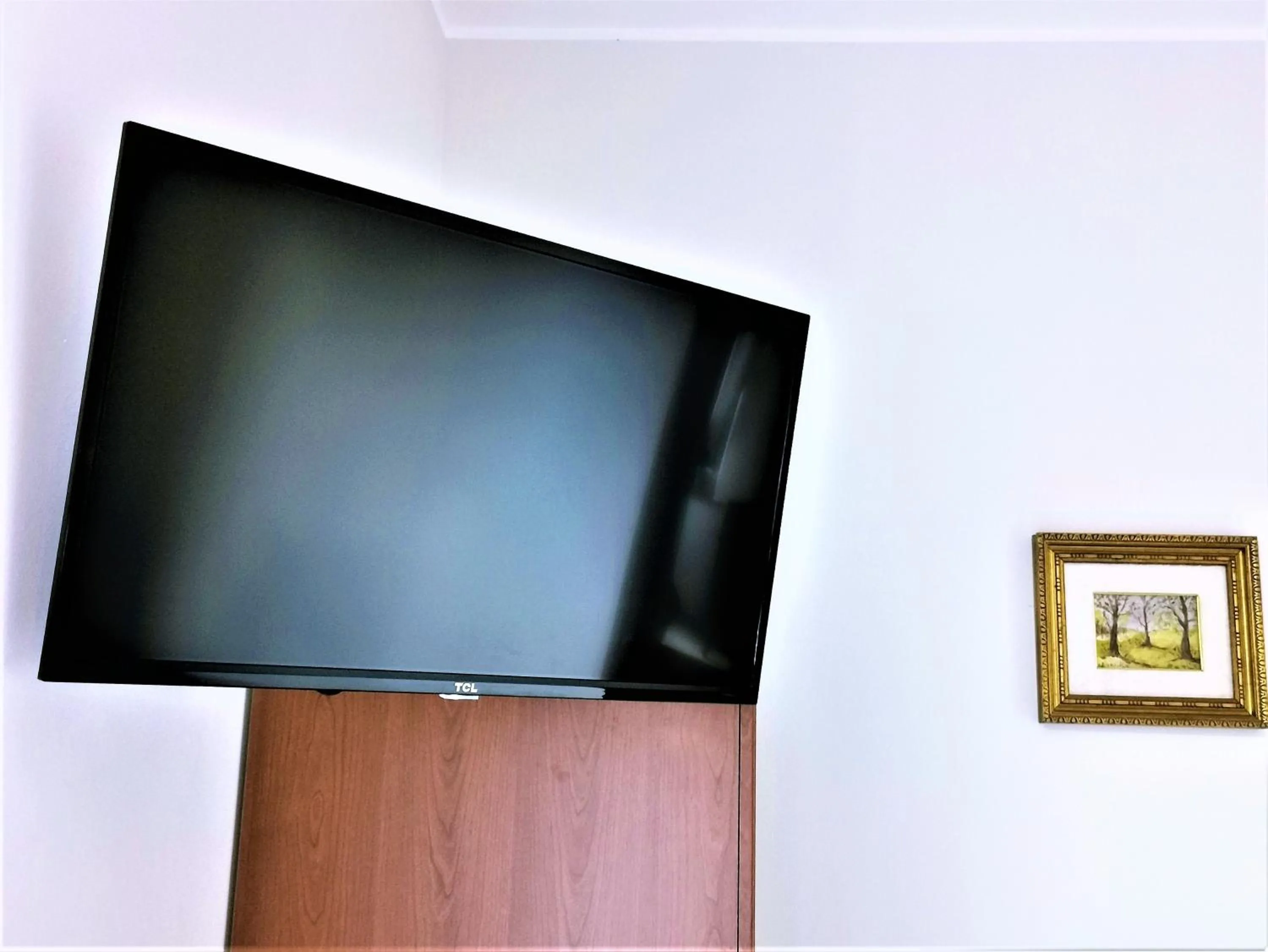 TV and multimedia in Hotel Venini