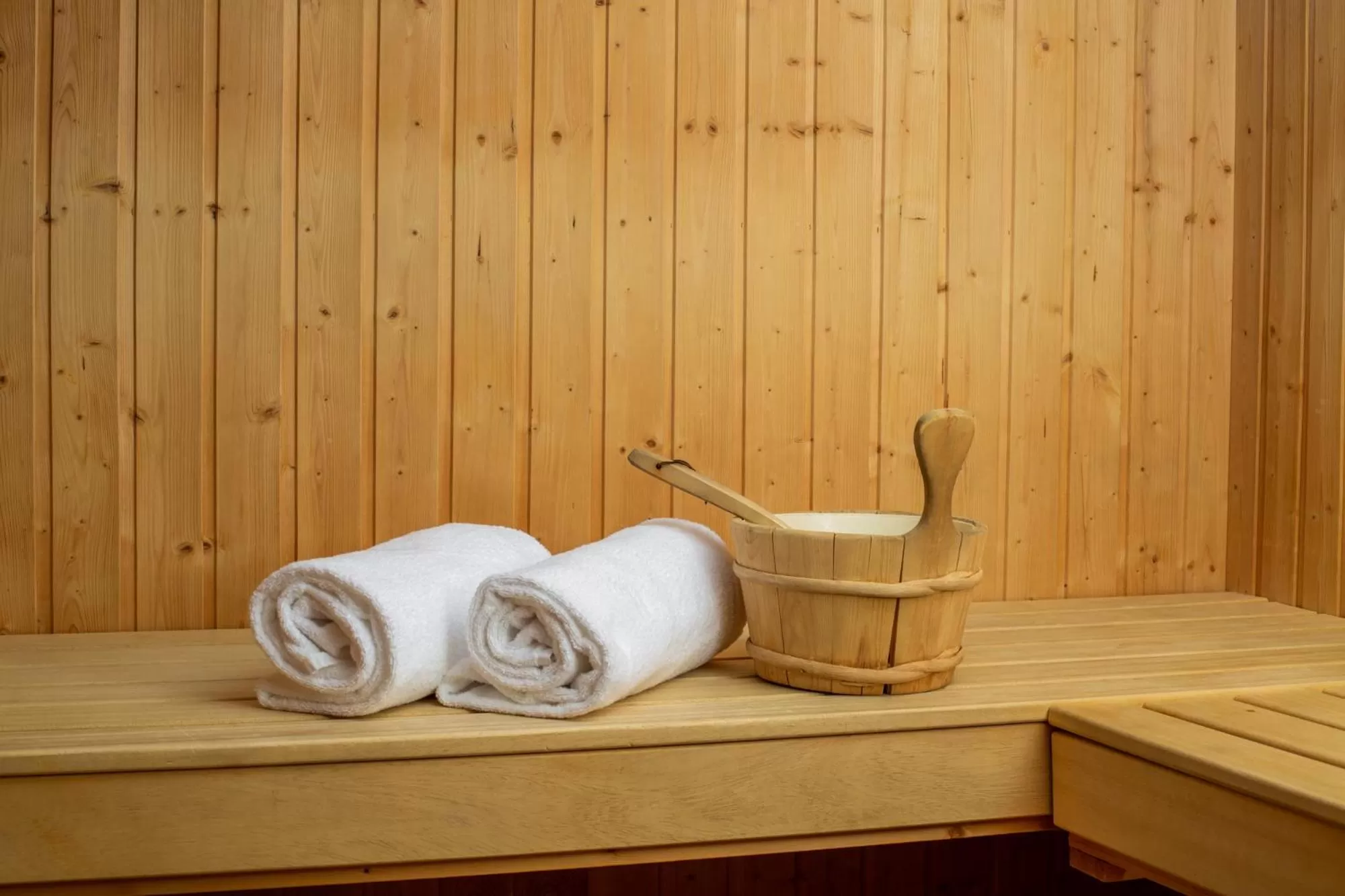 Sauna in Hotel-Restaurant Le Mont Paisible, Crans-Montana