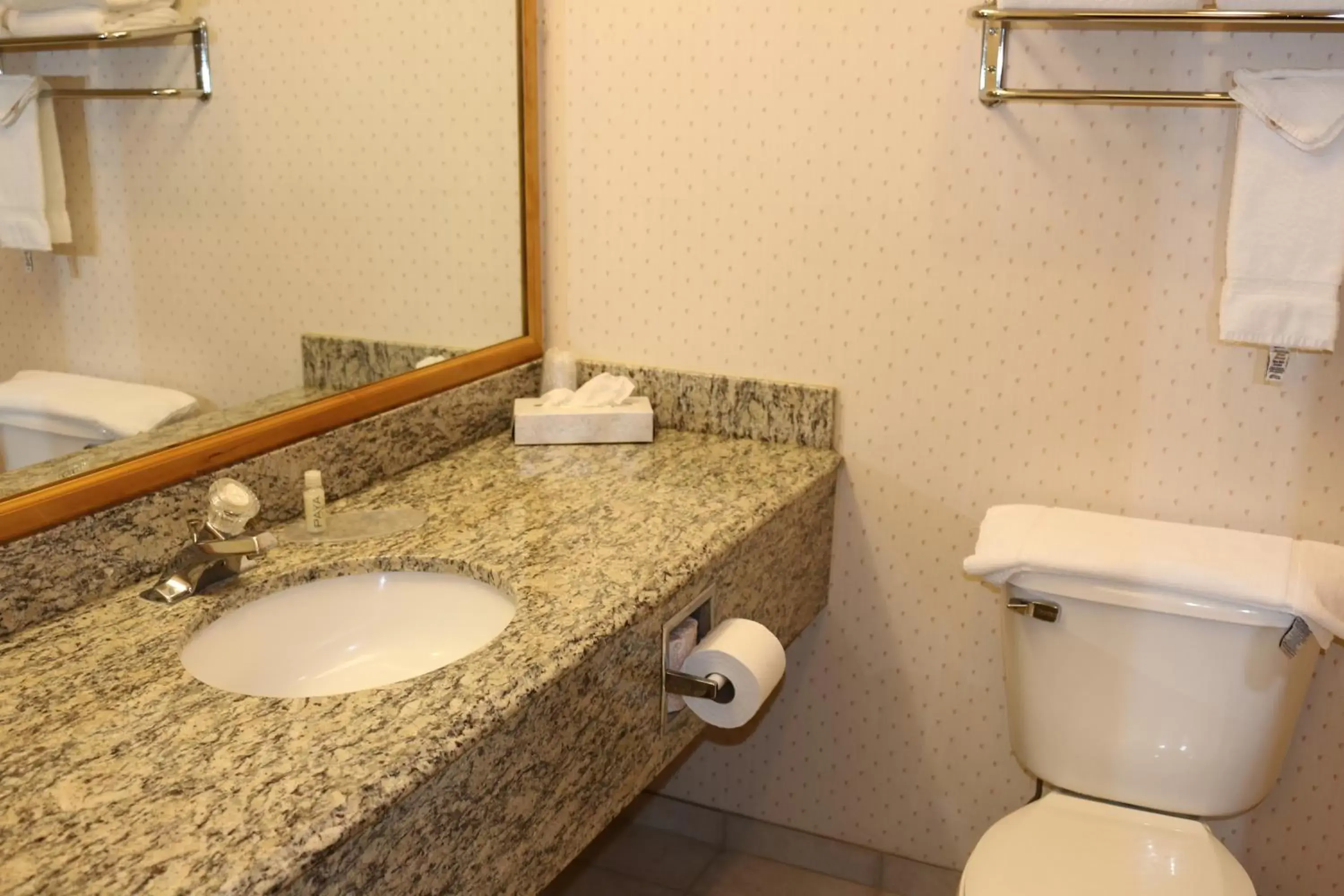 Toilet, Bathroom in Gray Wolf Inn & Suites