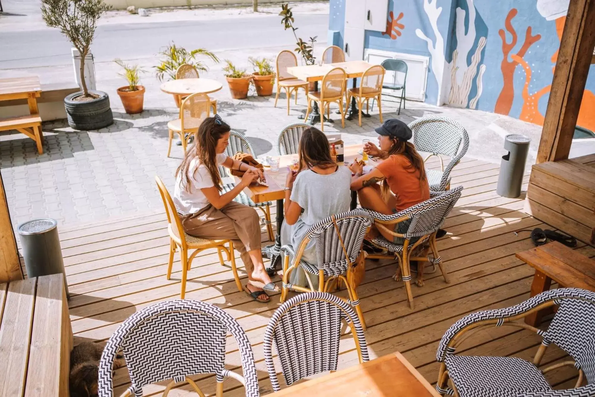 Restaurant/places to eat in Malacuna Peniche Restaurant/places to eat in Malacuna Peniche