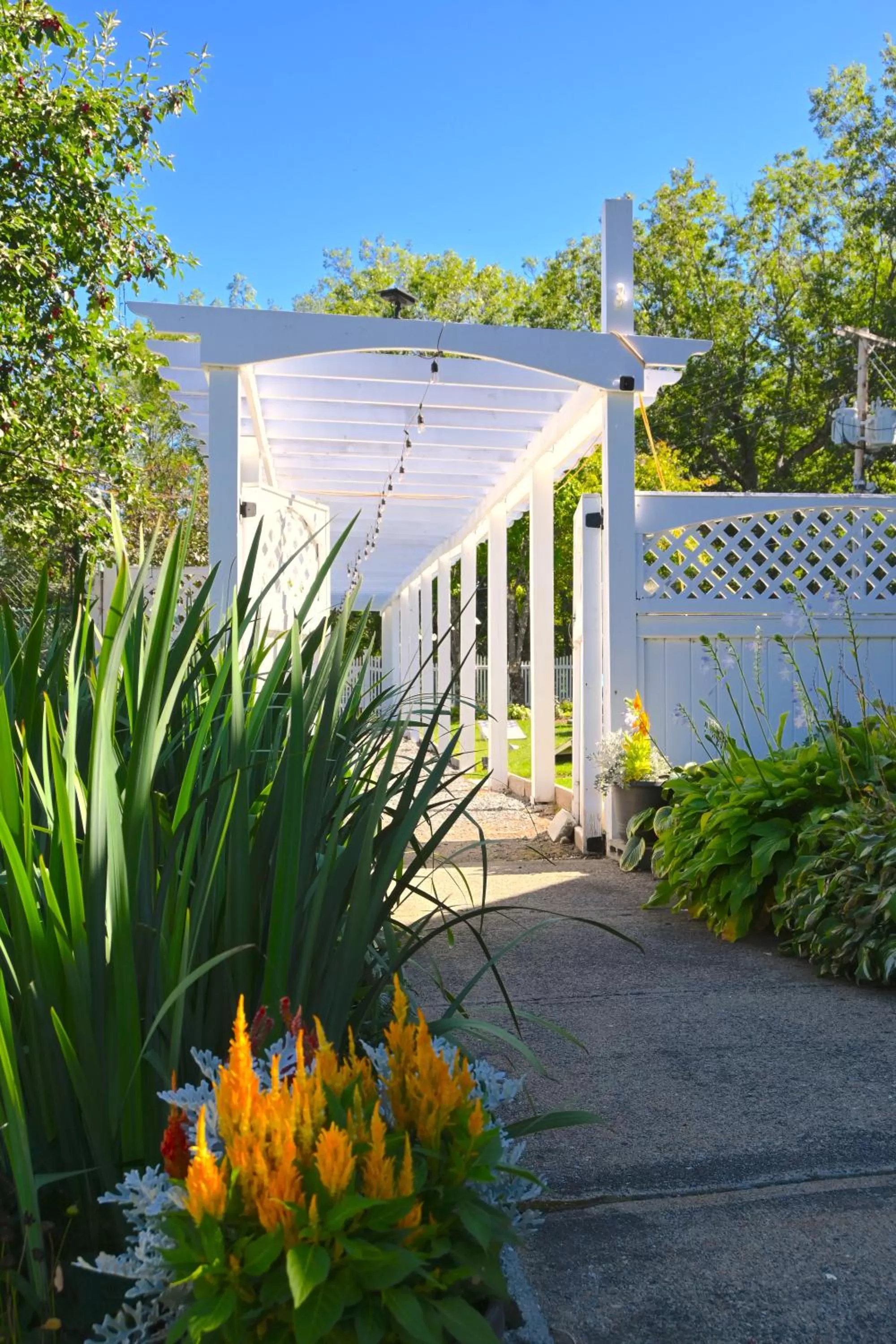 Property building in The Lodge at Jackson Village