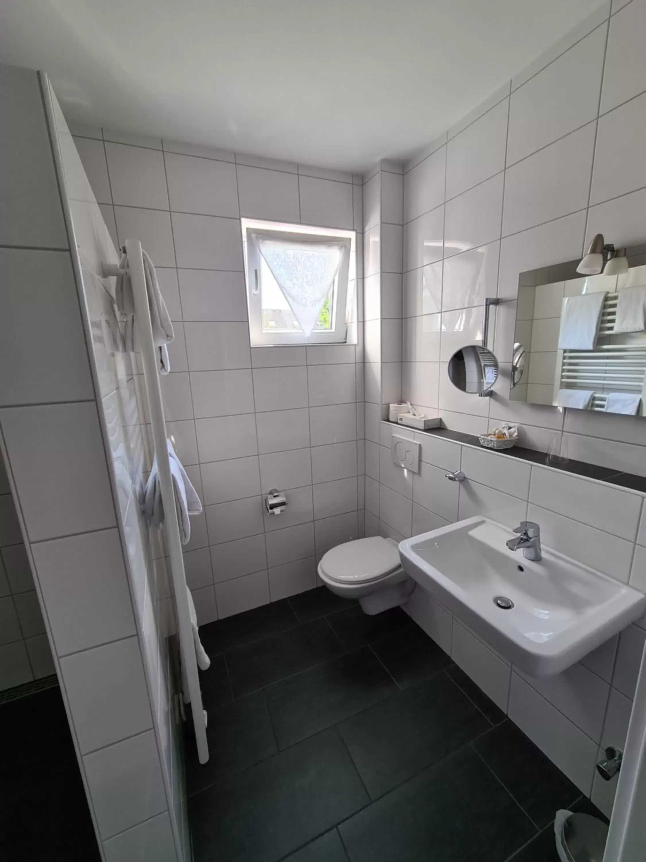 Double Room in Hotel Am Wintergarten Double Room in Hotel Am Wintergarten