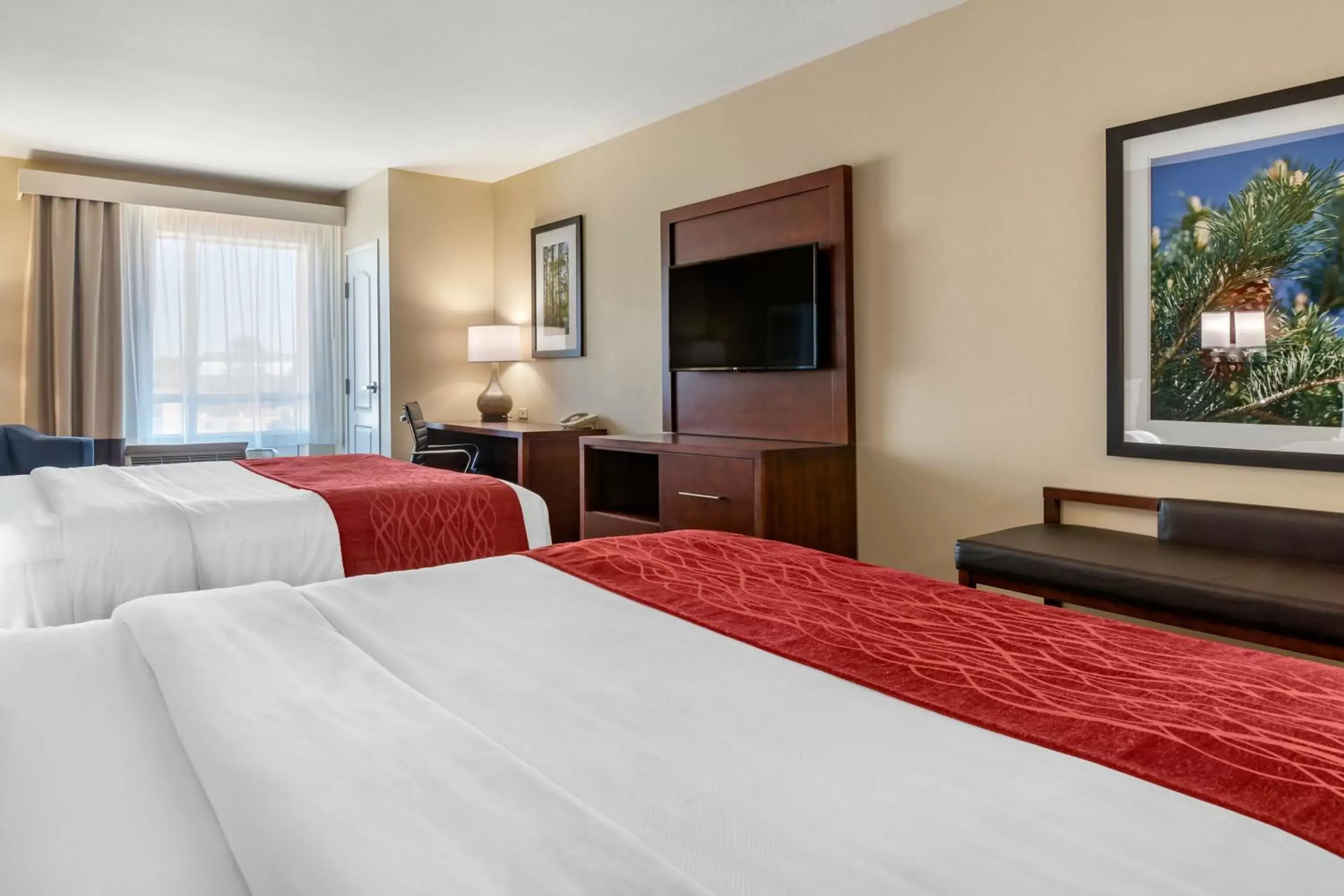 Bed in Comfort Inn and Suites Tifton
