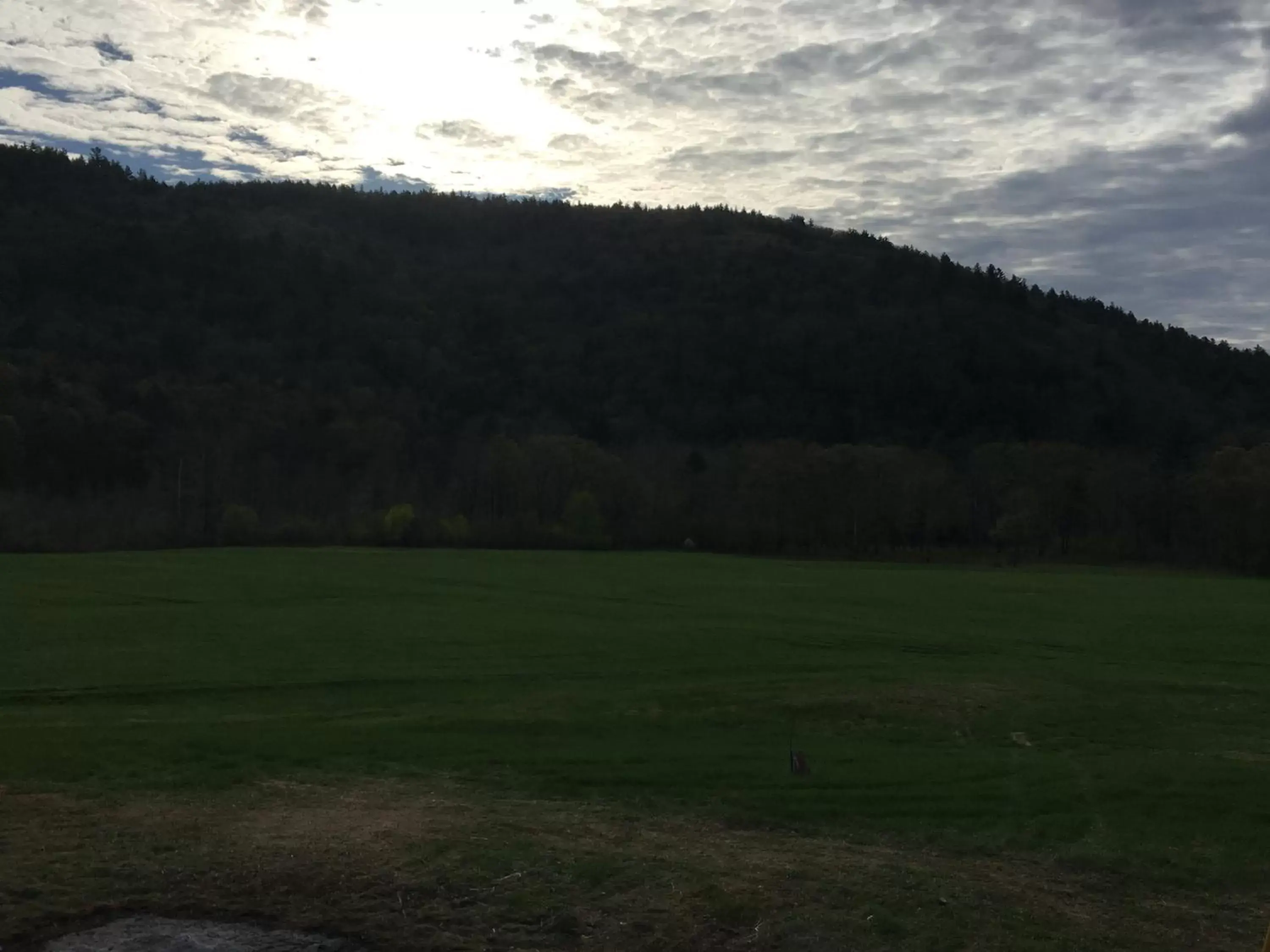 Natural landscape in The Lodge at West River