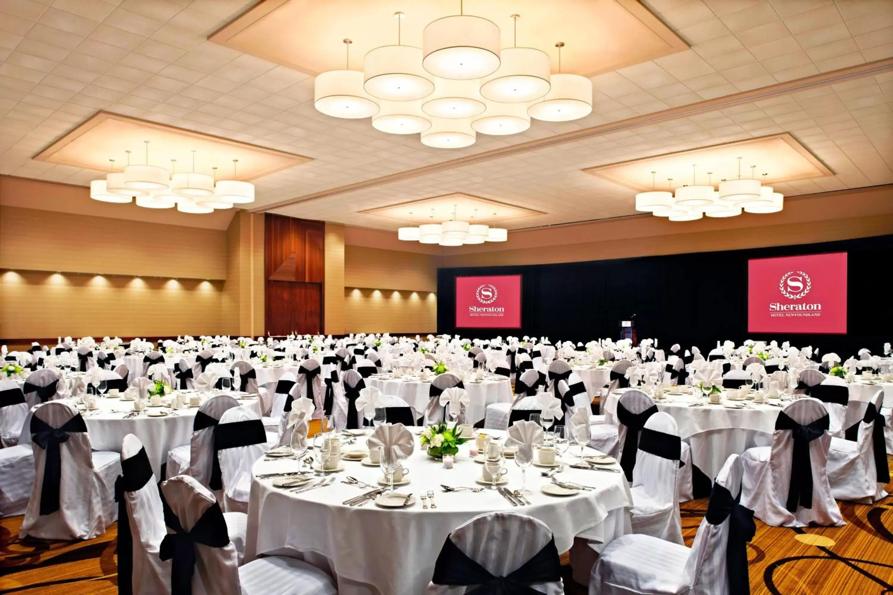 Meeting/conference room, Banquet Facilities in Sheraton Hotel Newfoundland