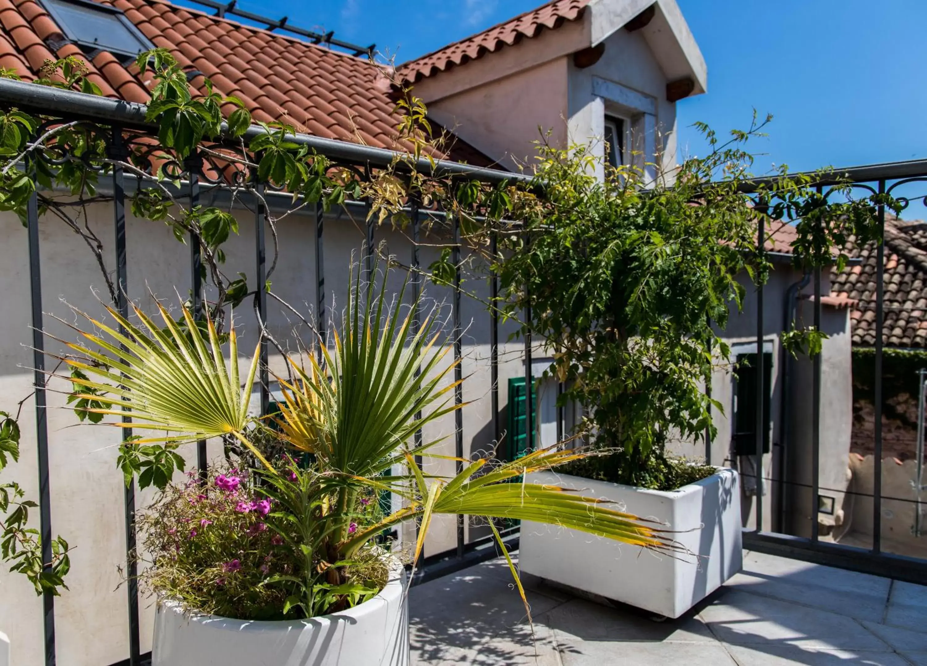 Property Building in Slavija Culture Heritage Hotel