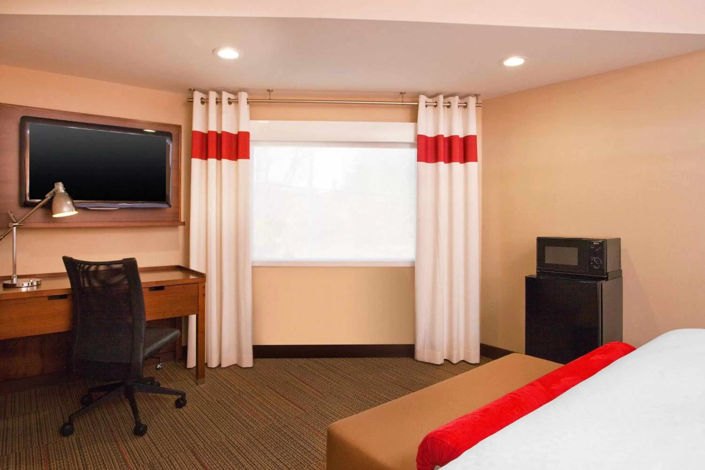 Bedroom, TV/Entertainment Center in Four Points by Sheraton Newark Christiana Wilmington