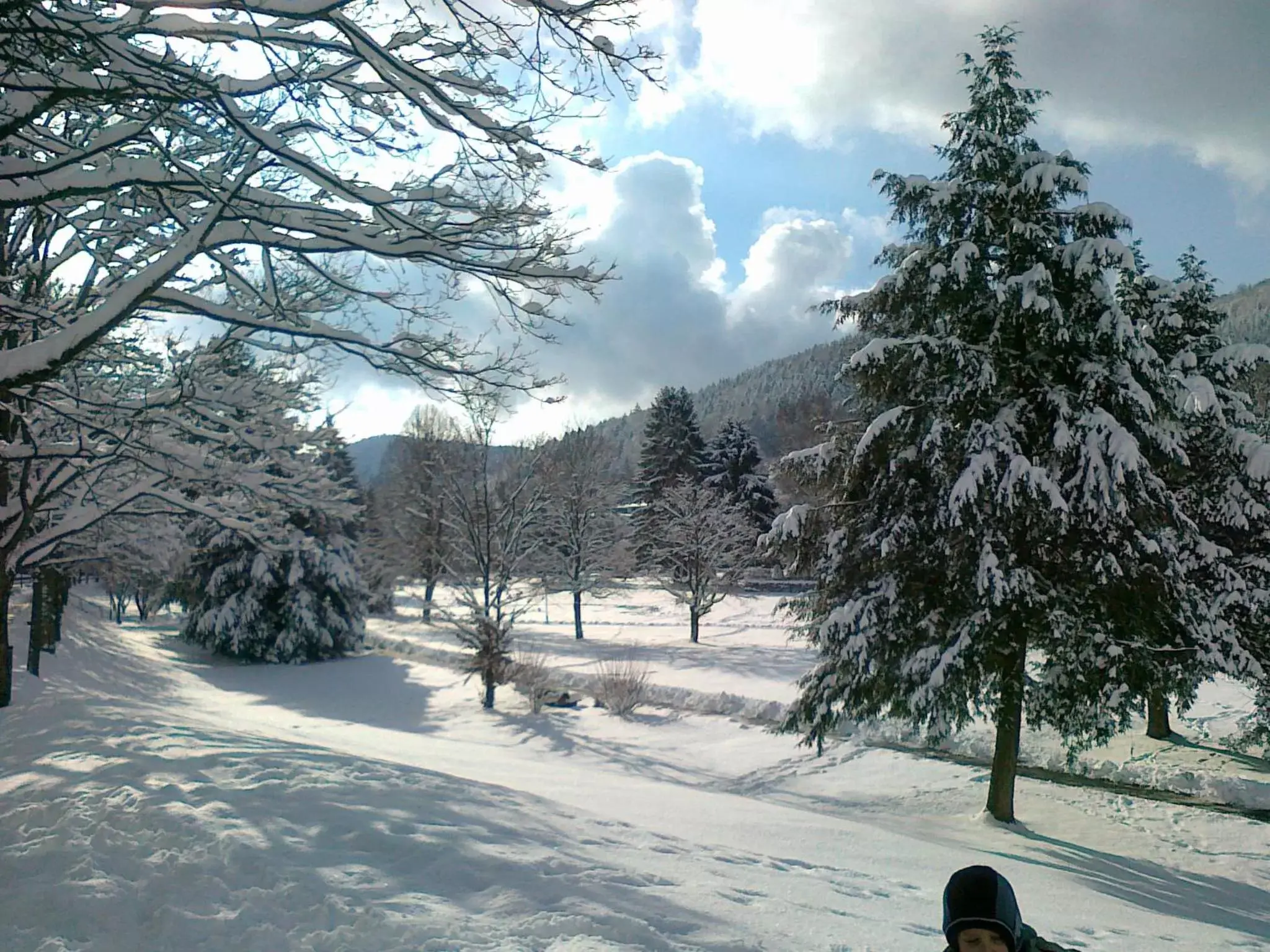 Area and facilities, Winter in Hotel Kull von Schmidsfelden