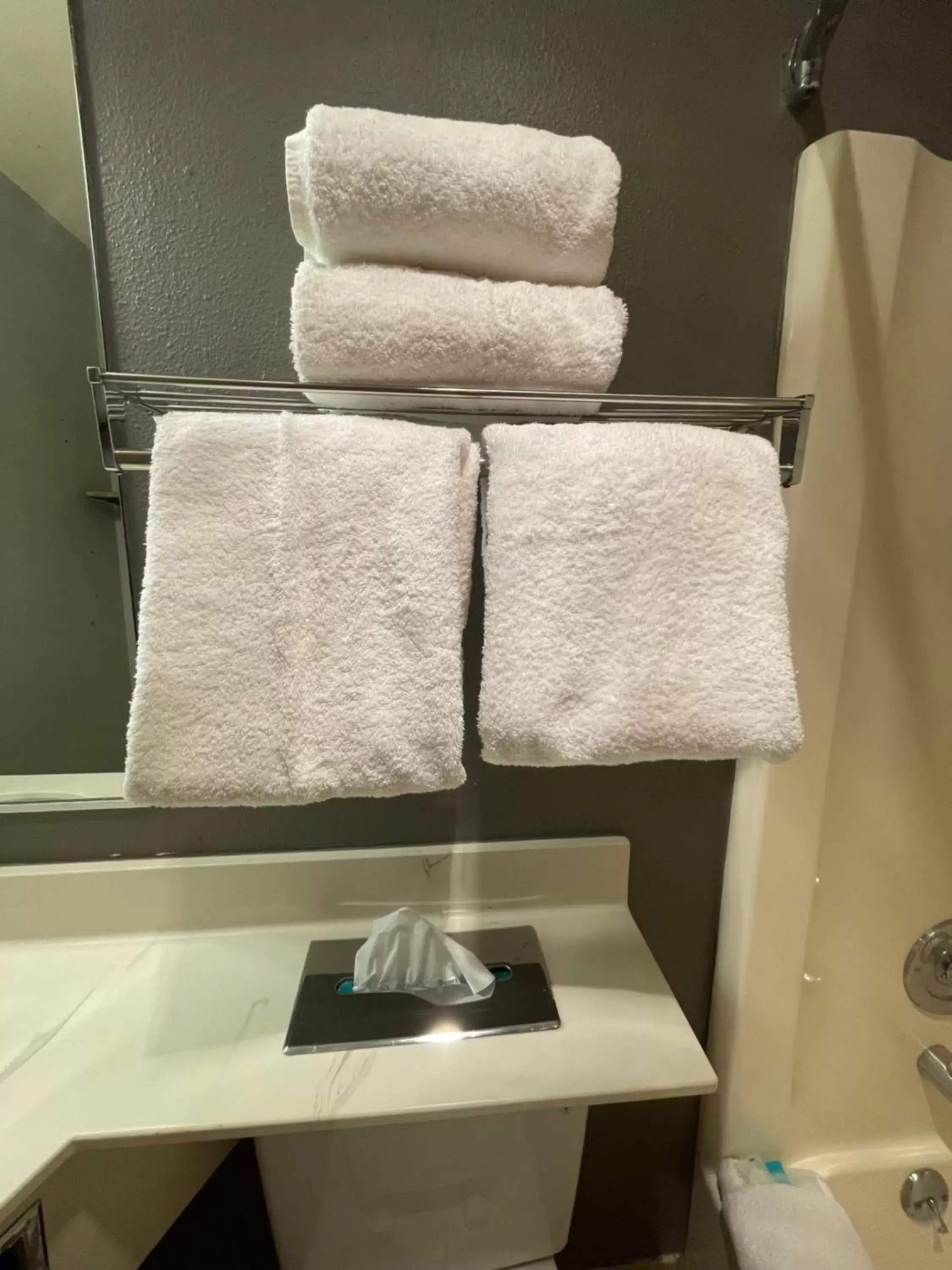 Bathroom, Seating Area in Sunnyside Inn and Suites