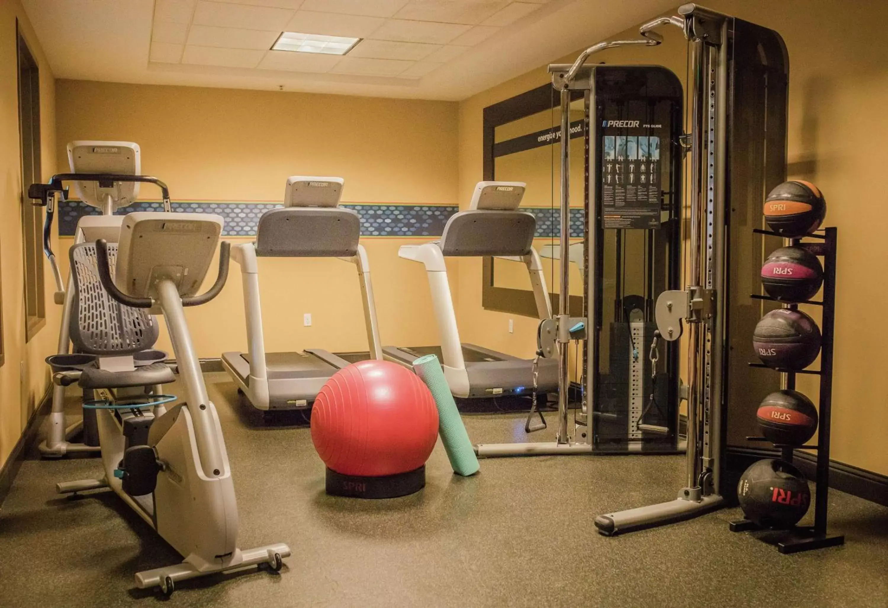Fitness centre/facilities, Fitness Center/Facilities in Hampton Inn & Suites Lathrop