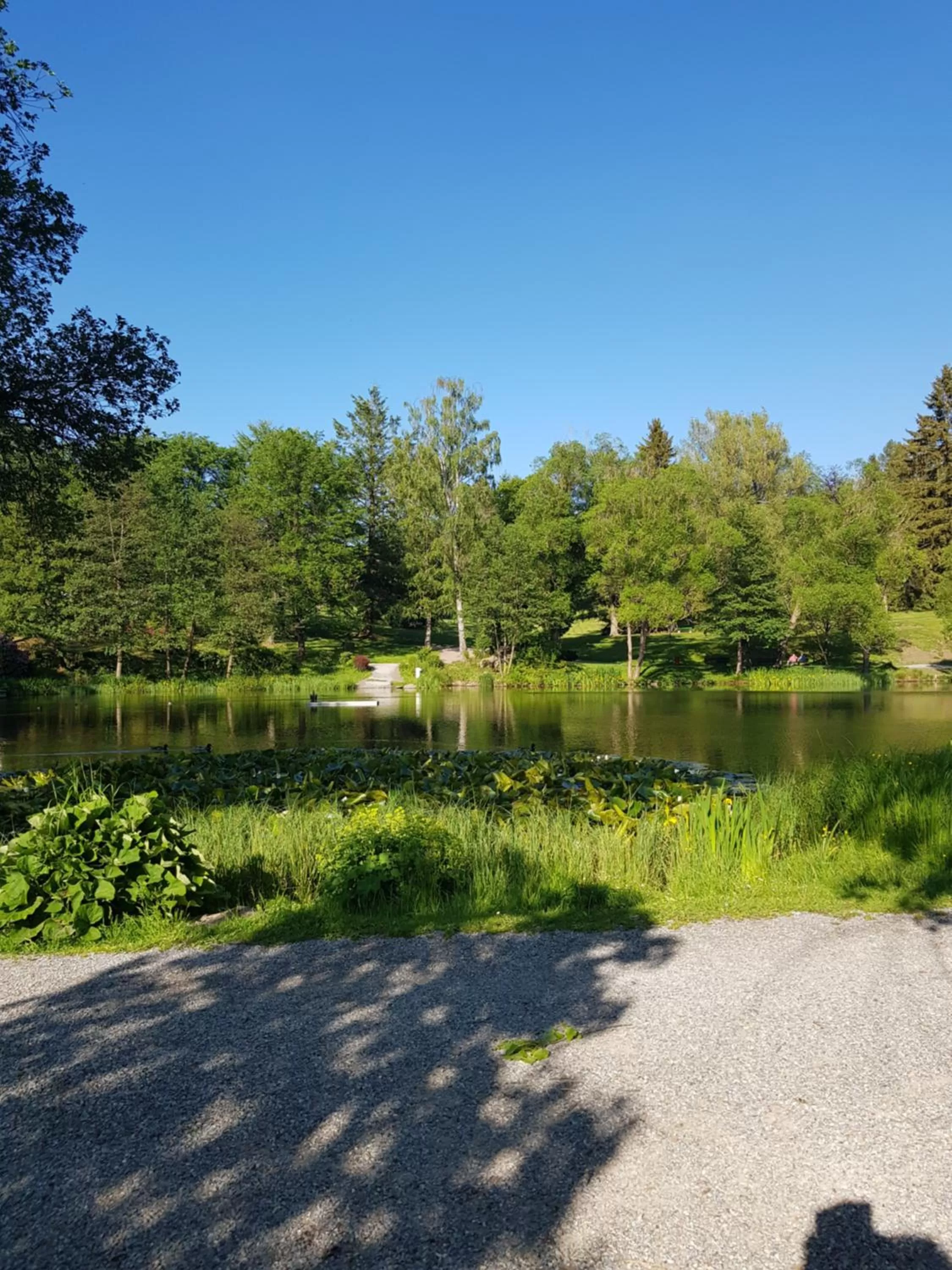 Natural landscape in Hotel Elisabeth-Ilse