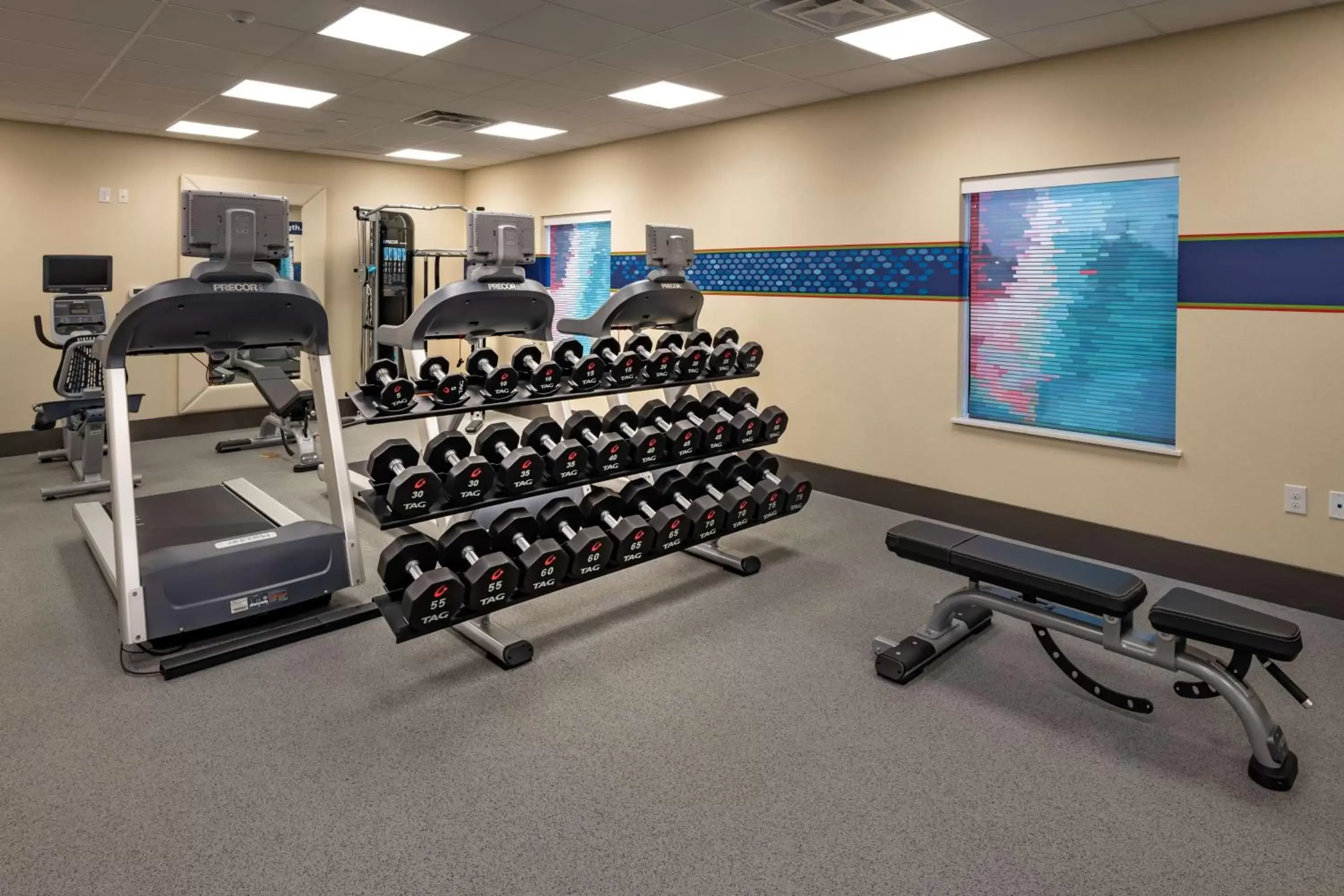 Fitness centre/facilities in Hampton Inn & Suites Dallas/Plano Central Fitness centre/facilities in Hampton Inn & Suites Dallas/Plano Central
