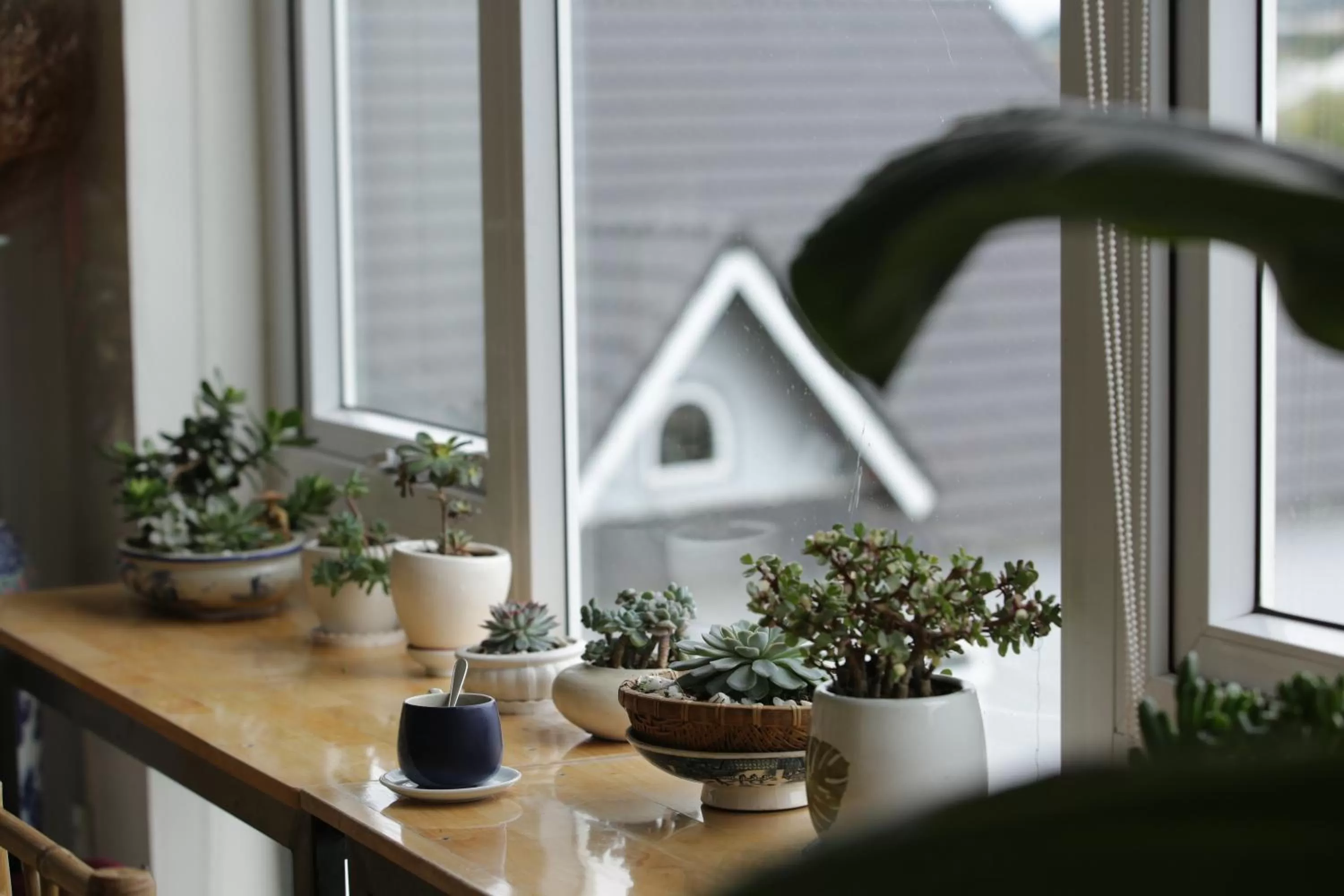 Communal lounge/ TV room in Starview Villa Dalat