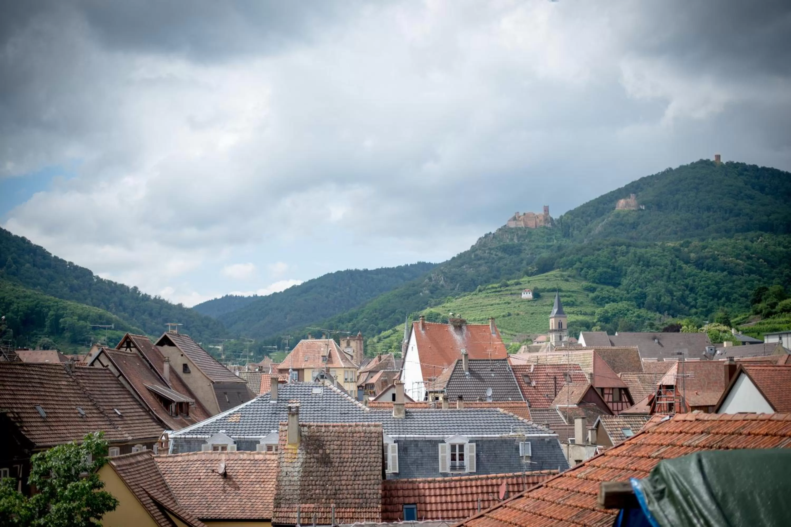 Neighbourhood in L' Hôtel & Spa Ribeauville- Haut-Koenigsbourg