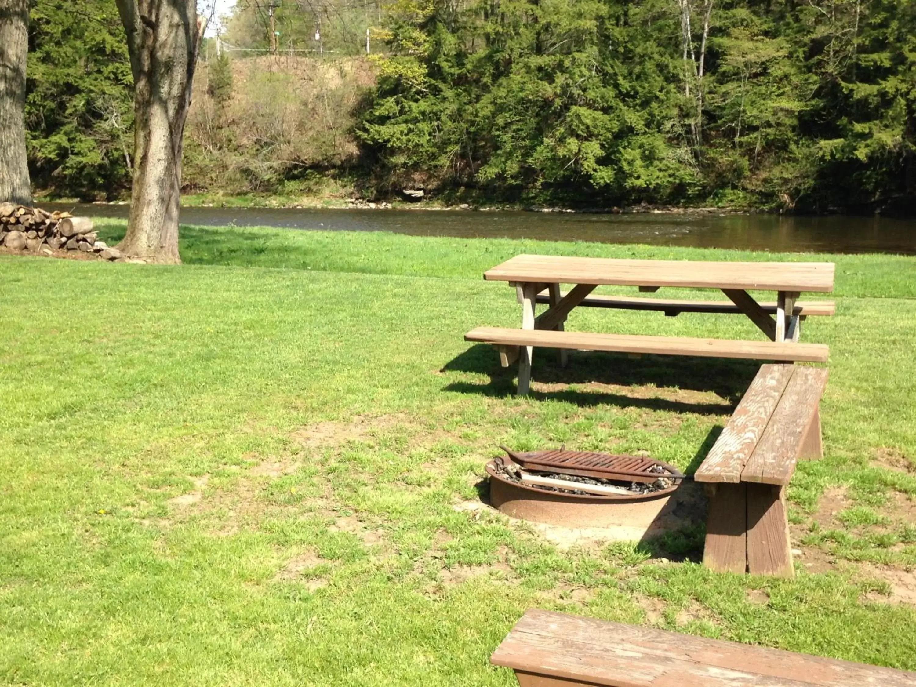 Natural landscape, Garden in Rough Cut Lodge