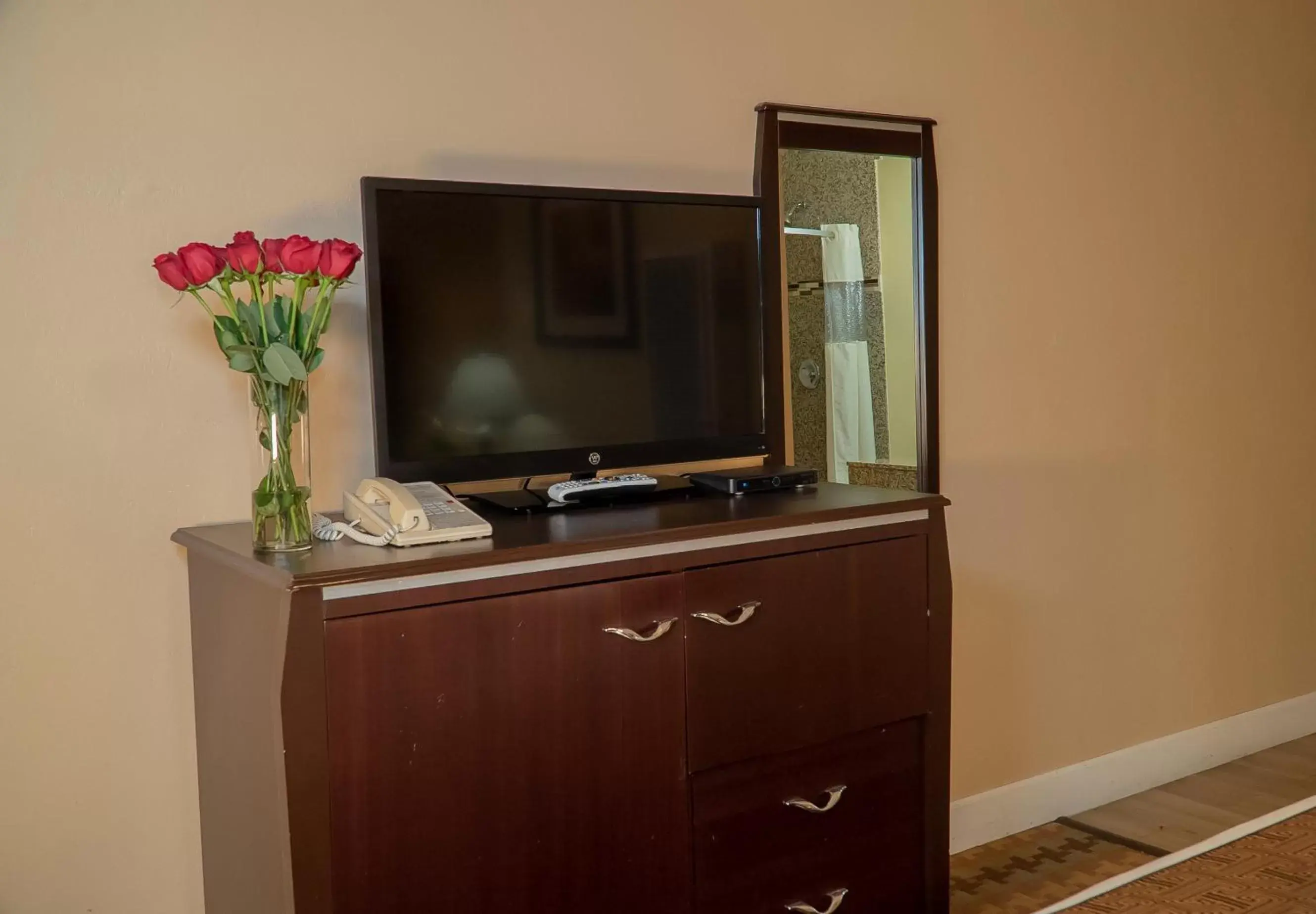 TV/Entertainment Center in Silver Surf Motel