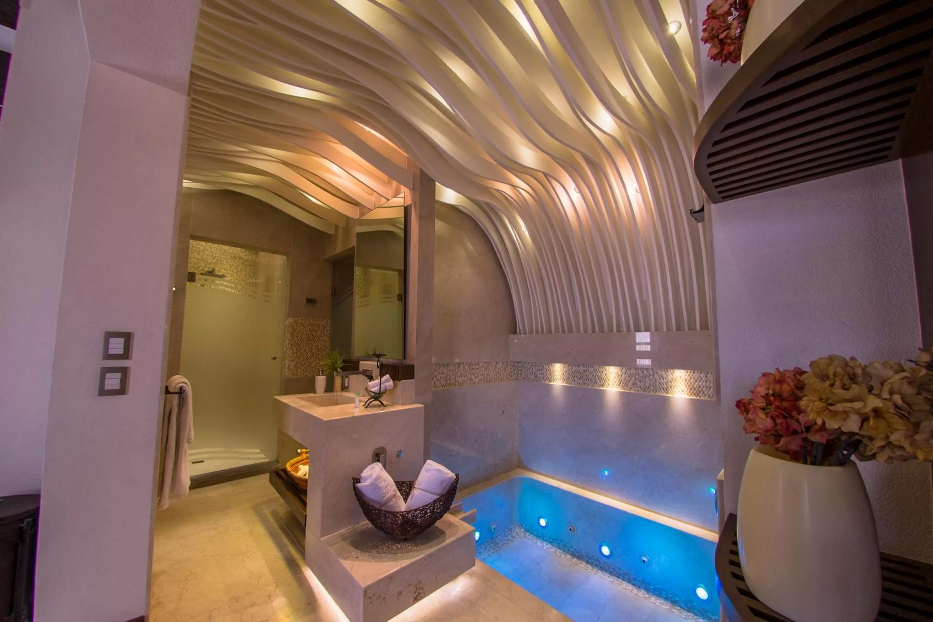 Hot Tub in Hotel De La Soledad