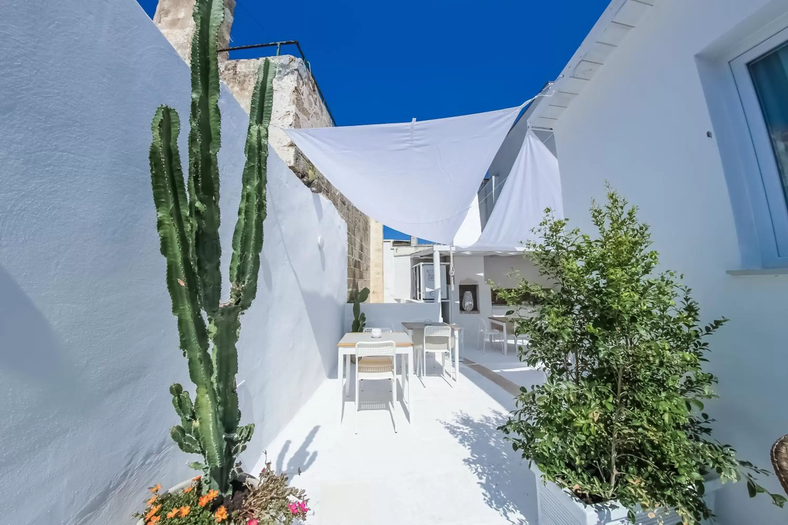 Balcony/Terrace in Clara Domus