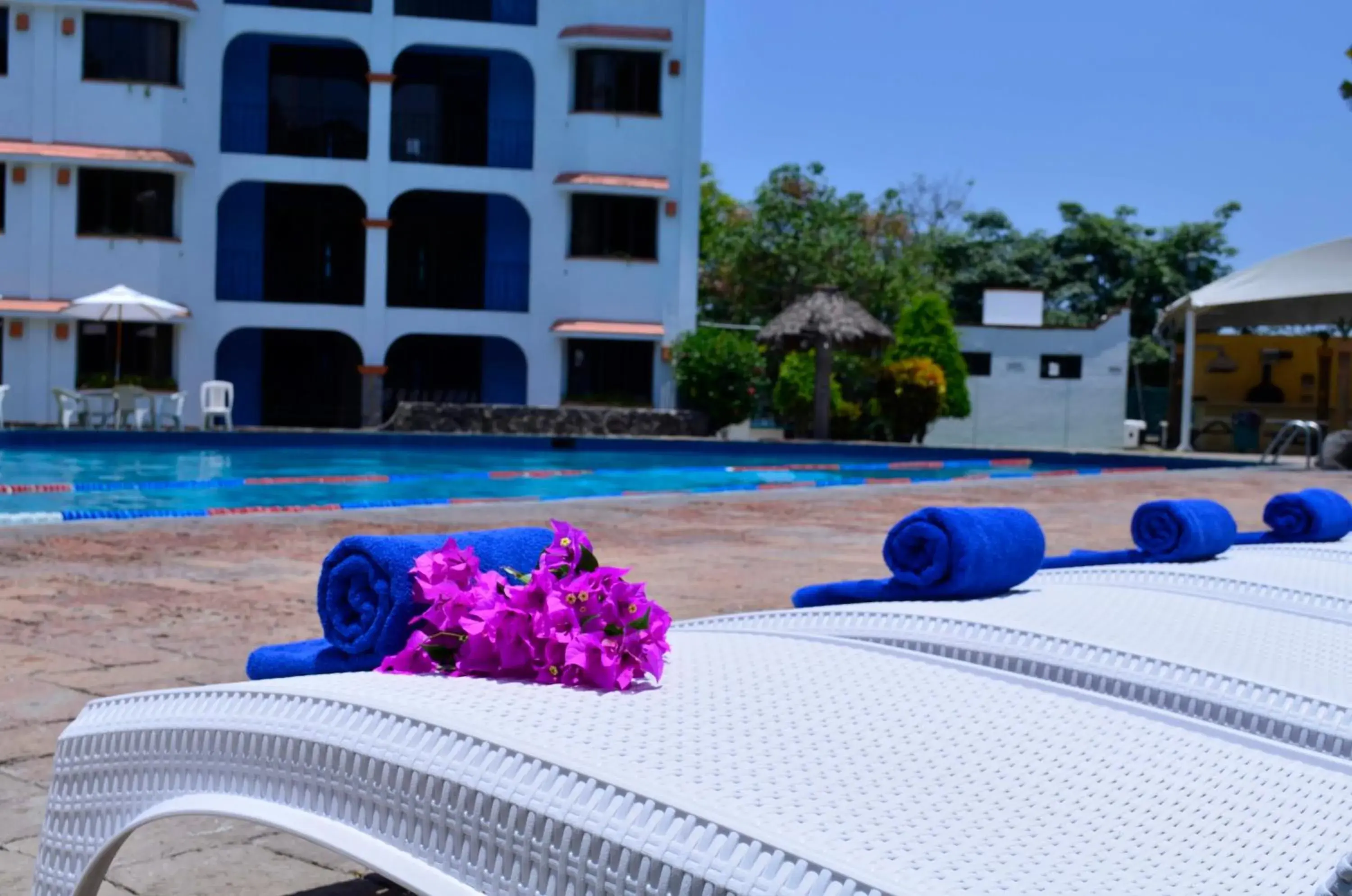 Solarium, Swimming Pool in Hotel Coral Cuernavaca Resort & Spa