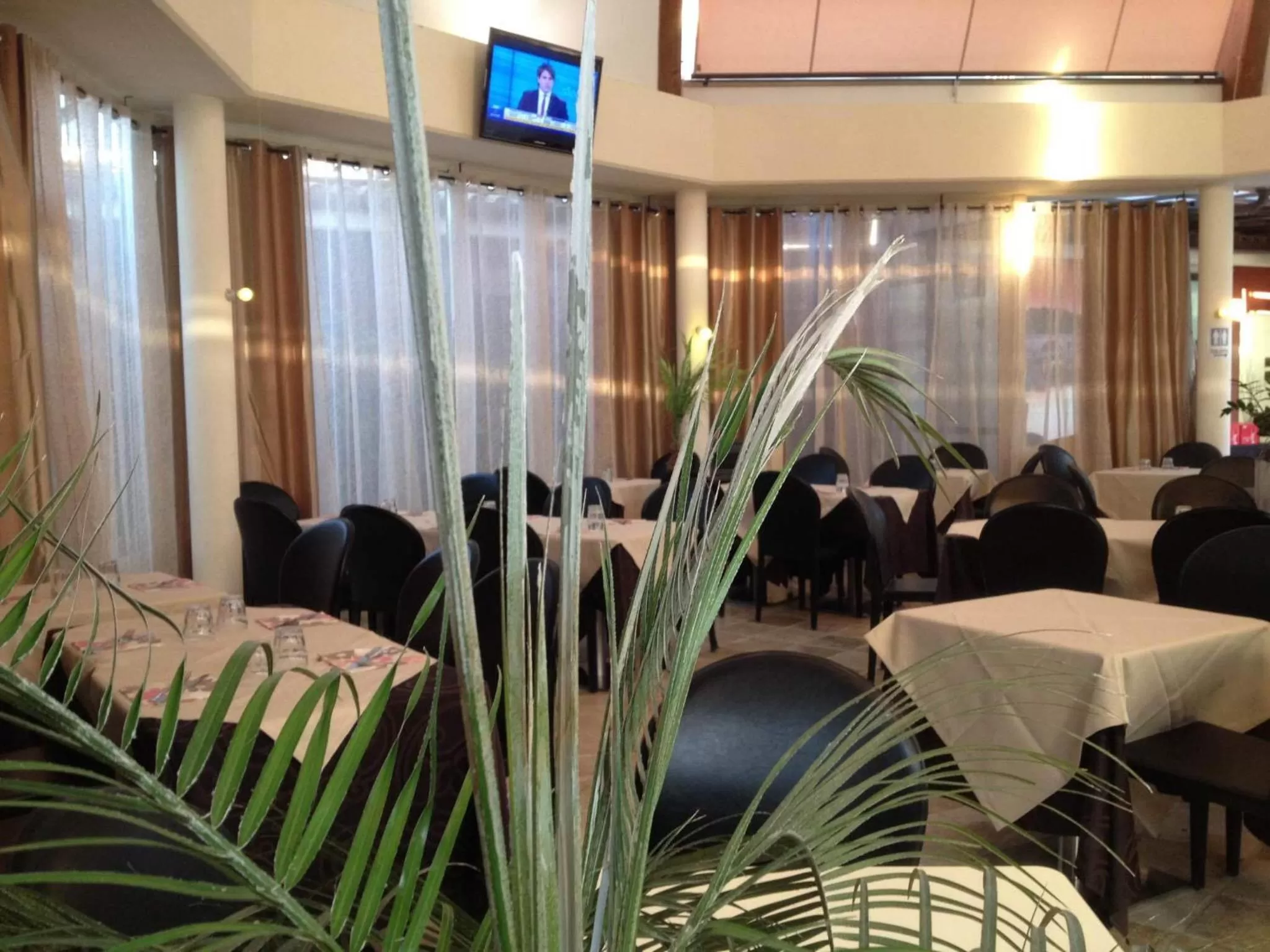 Restaurant/places to eat in Hotel Star