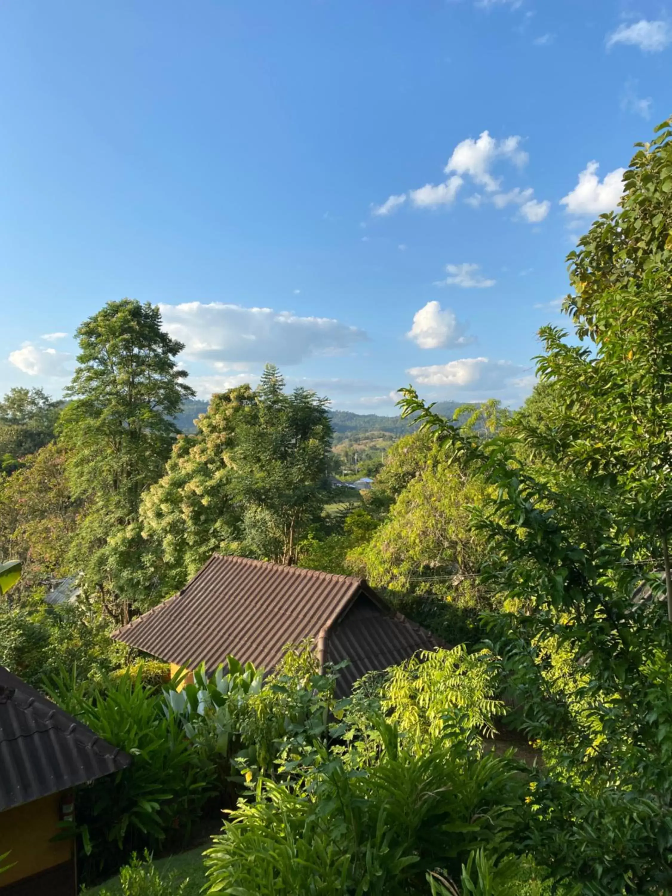 Mountain view in Pura Vida Pai Resort