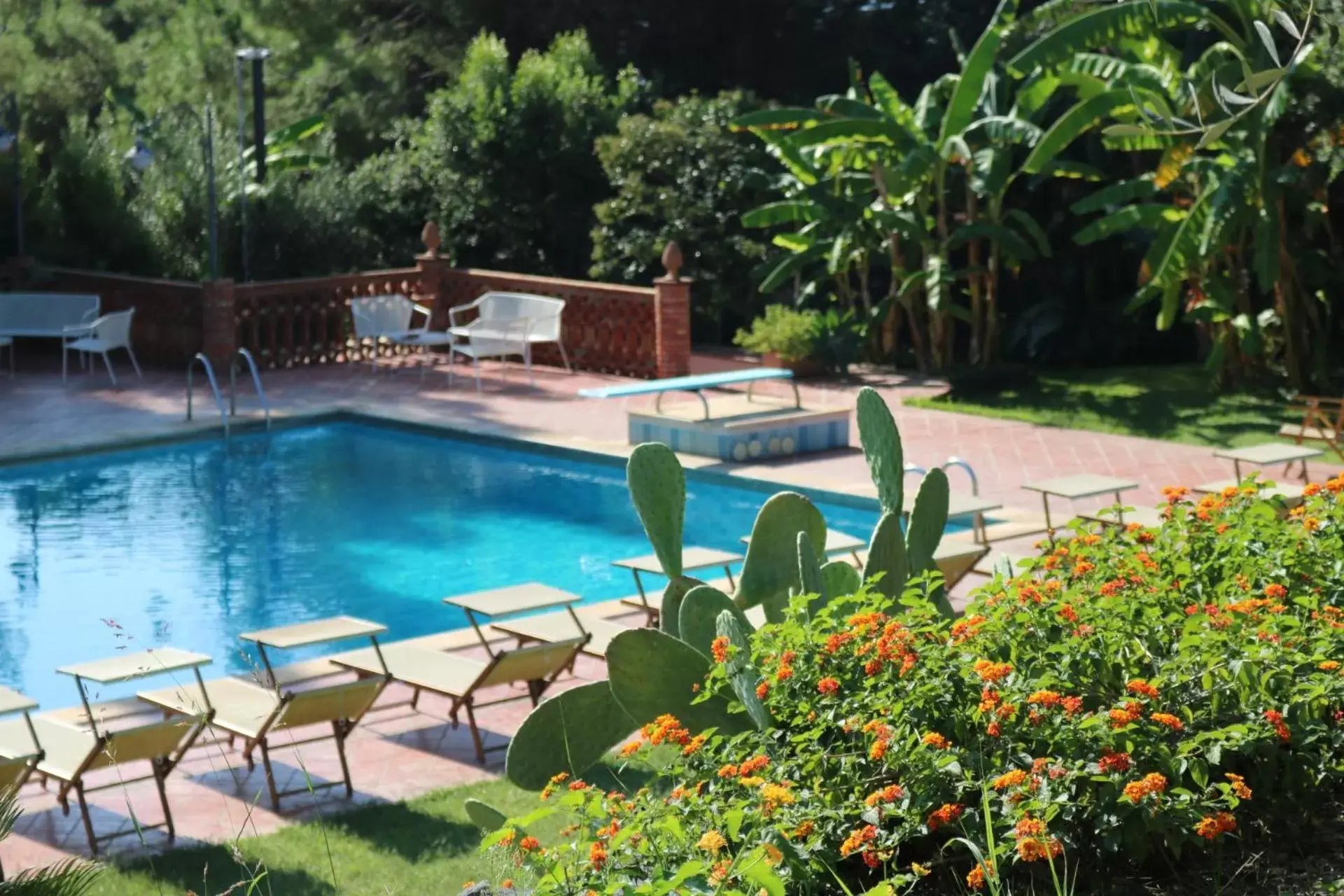 Pool view, Swimming Pool in Villa delle Palme