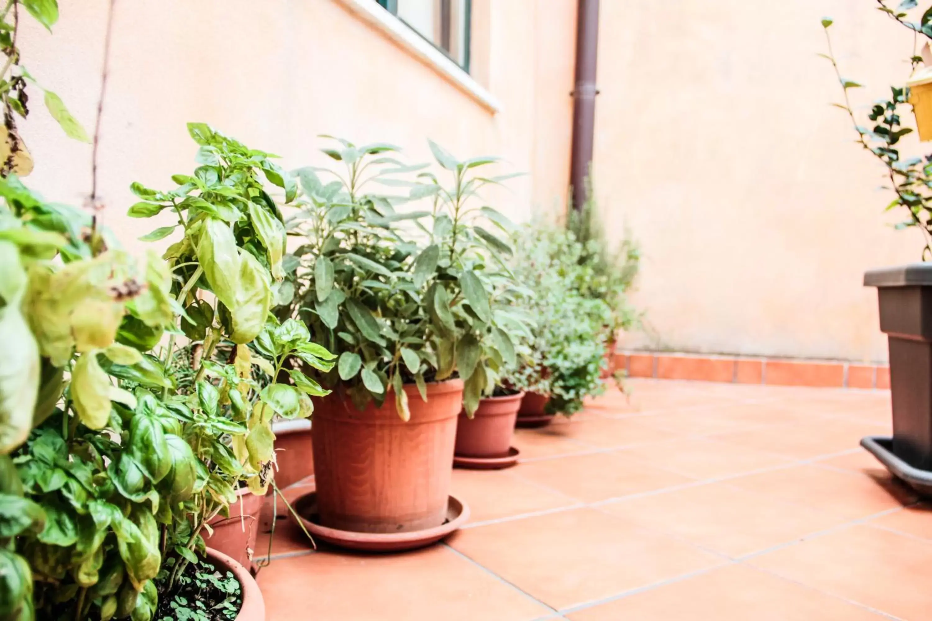 Balcony/Terrace in B&B Porta Bagni